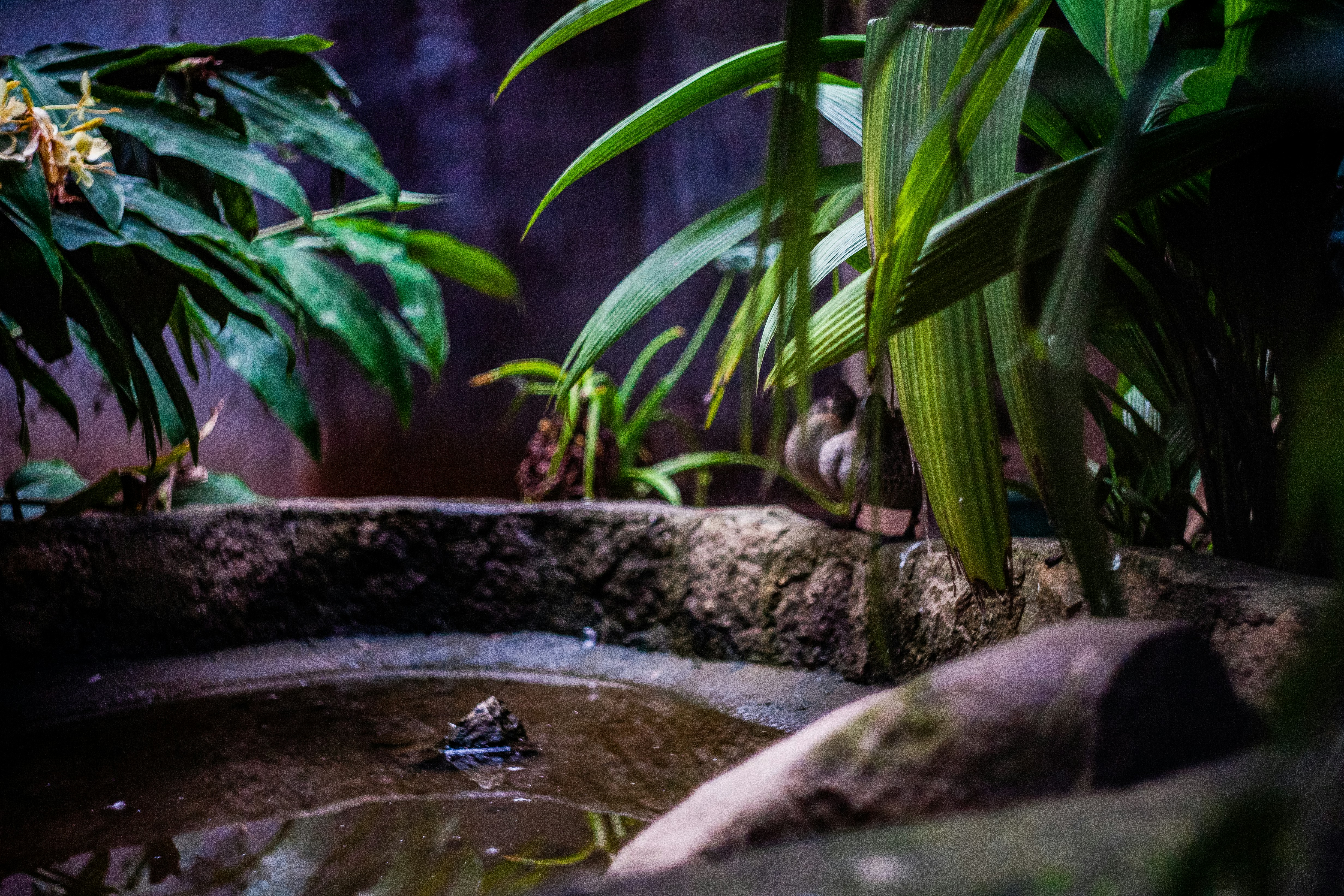 Photo by alekseyryan