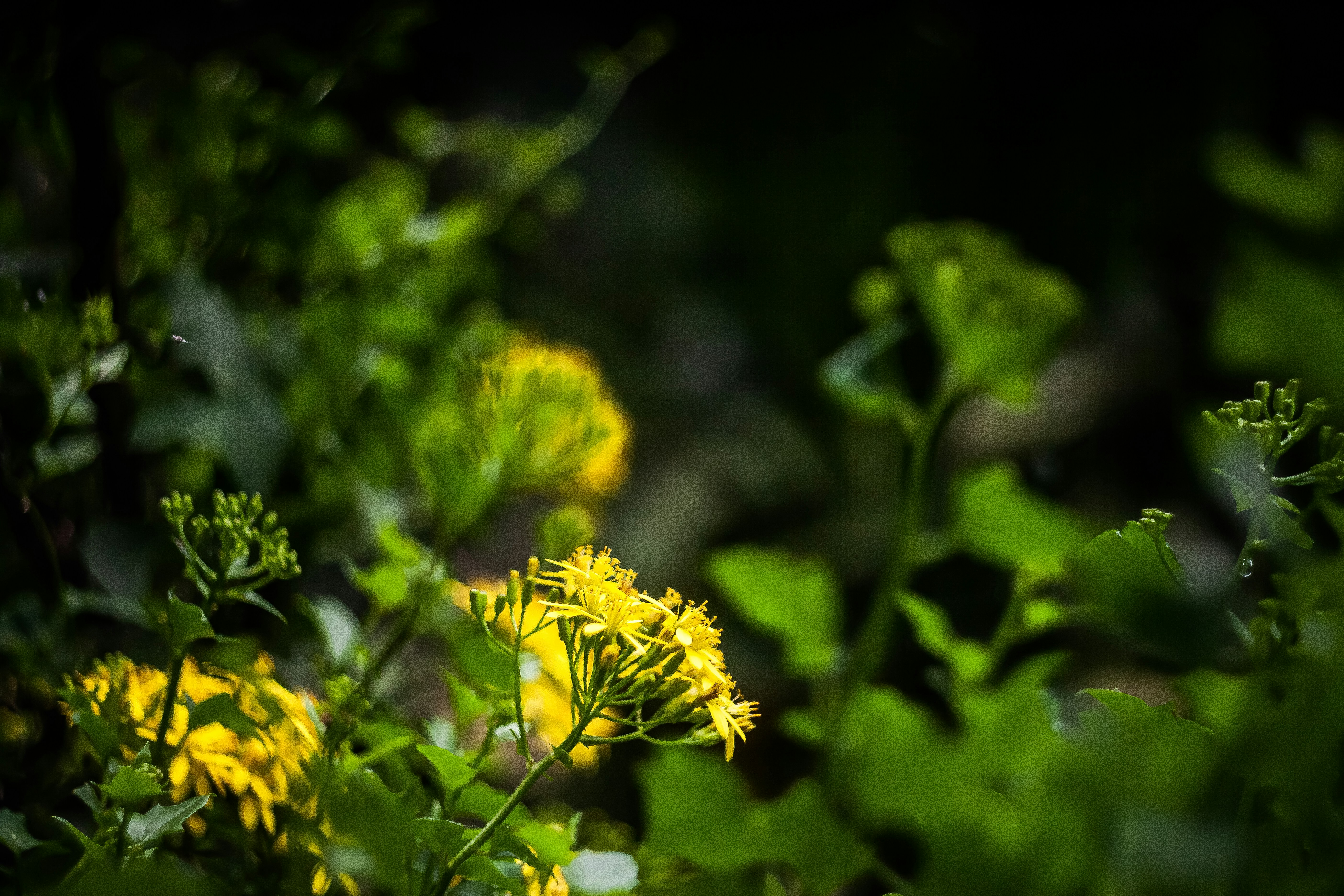 Photo by alekseyryan