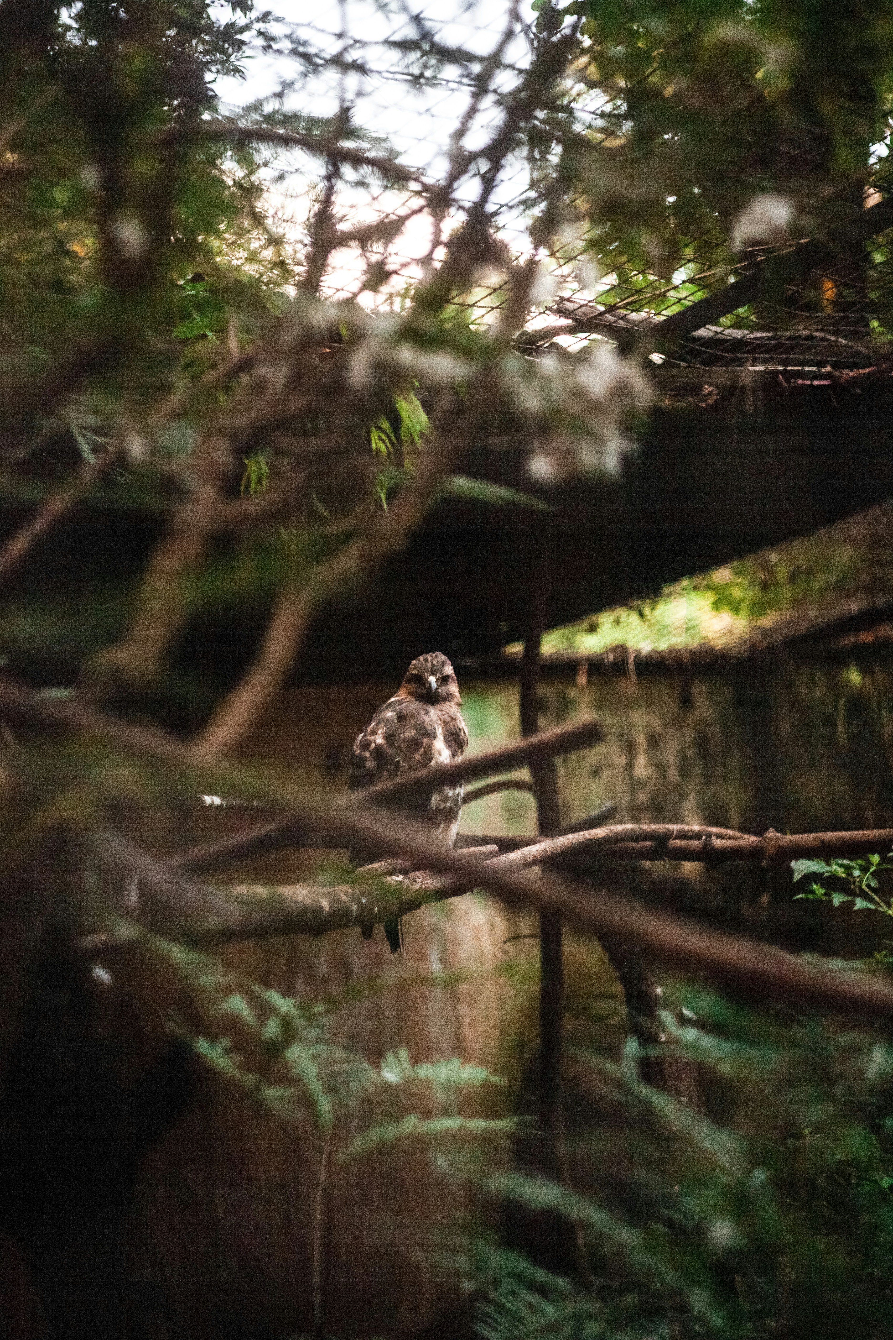 Photo by alekseyryan