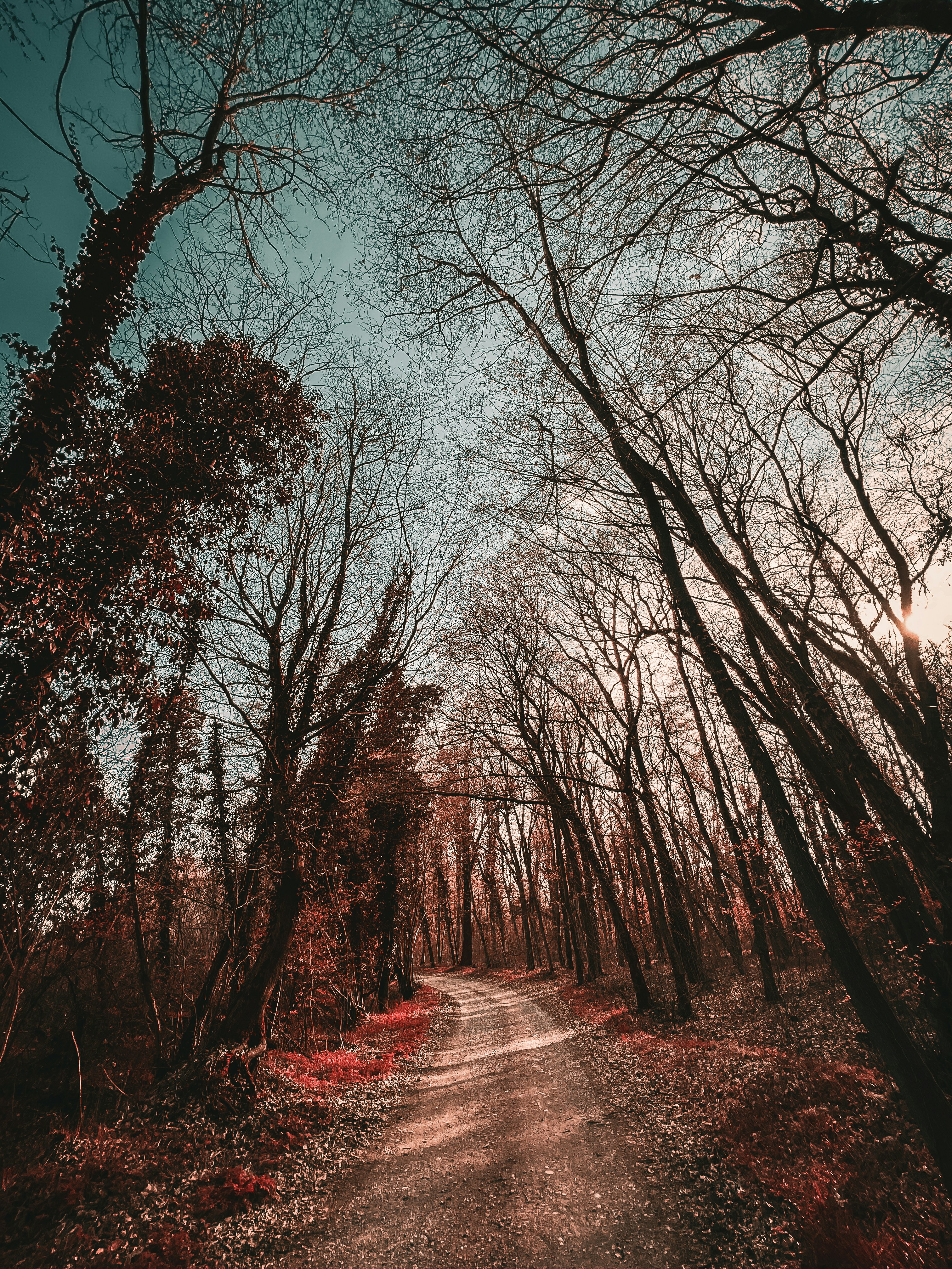 Photo by mickdepaola