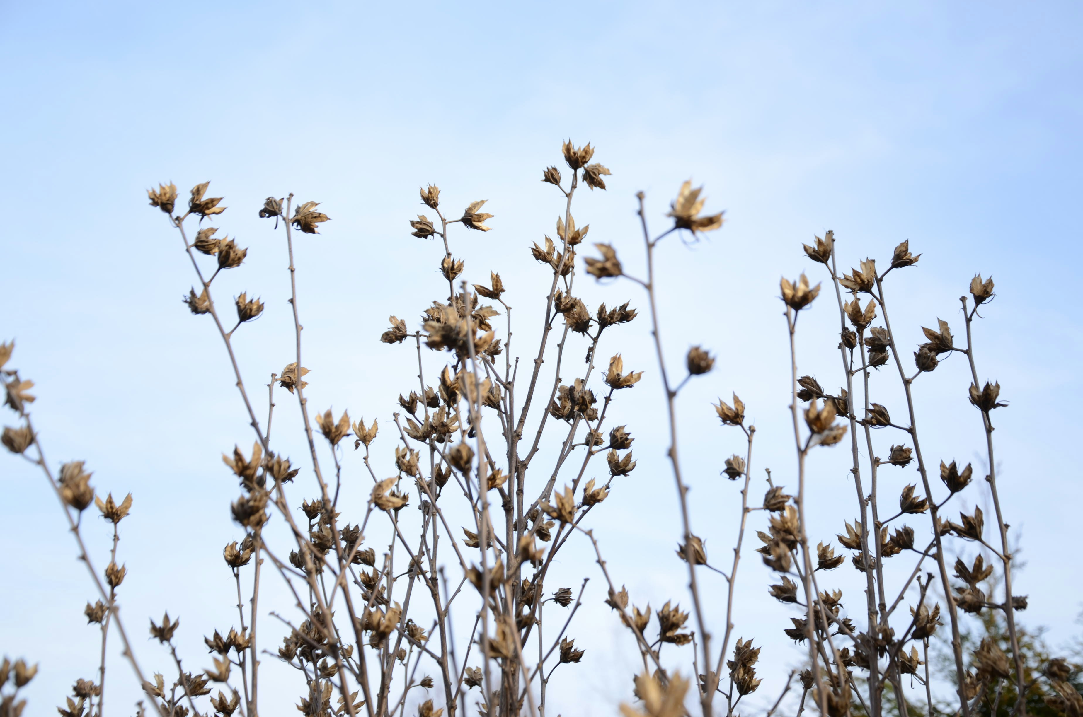 Photo by bogdana_dana