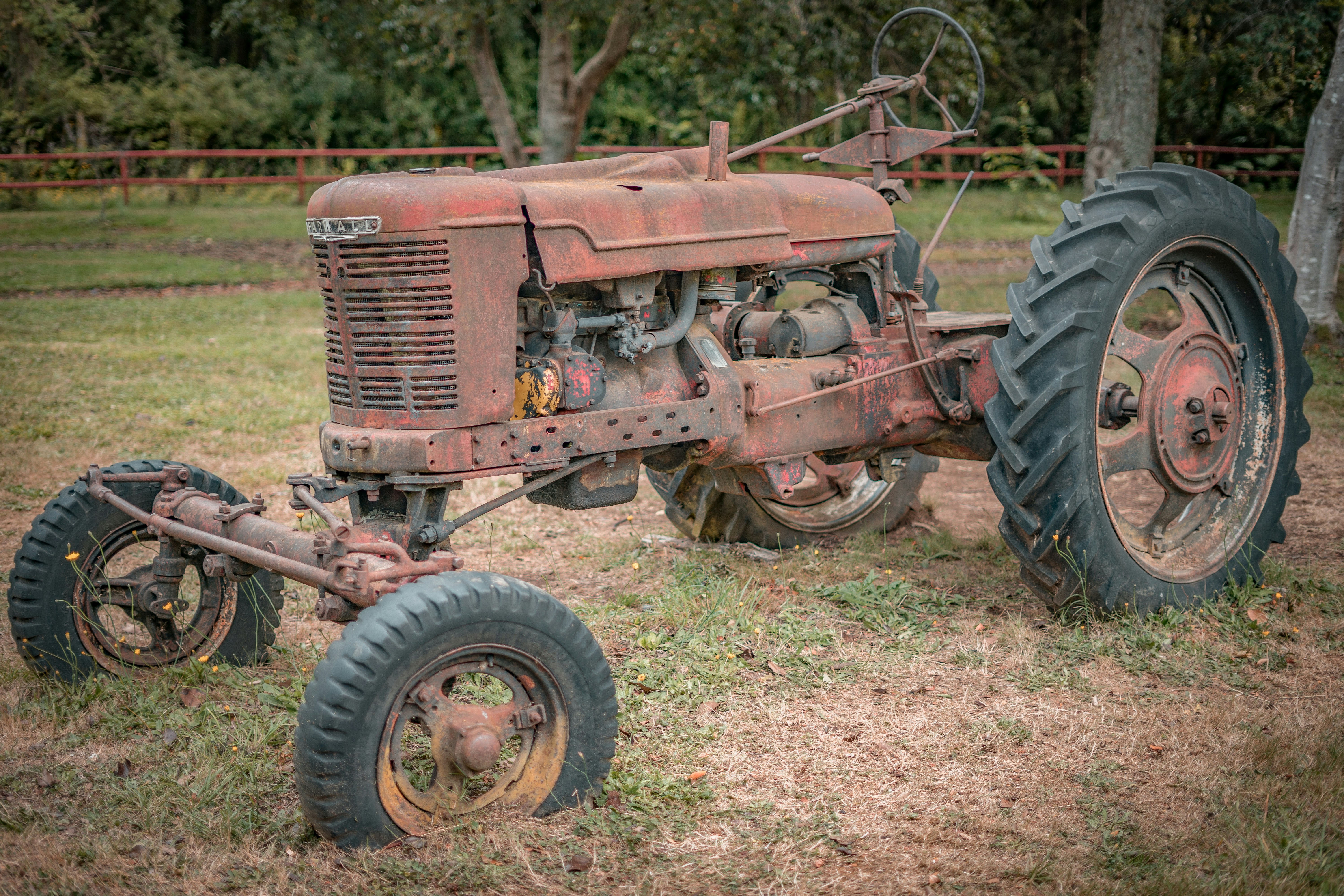 Photo by hugo_cifuentes