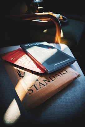 Several publications are stacked together on a chair. Sunlight creates a strong contrast of light and shadow across the items. The top publication is titled 'STANDART'. The setting suggests a cozy, quiet reading nook.