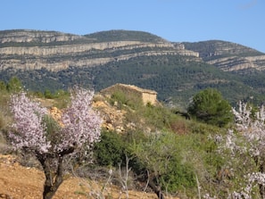 A rustic stone building is nestled in a picturesque landscape with rugged hills in the background. The foreground features blooming almond trees with delicate pink flowers, surrounded by lush green shrubs and vegetation.