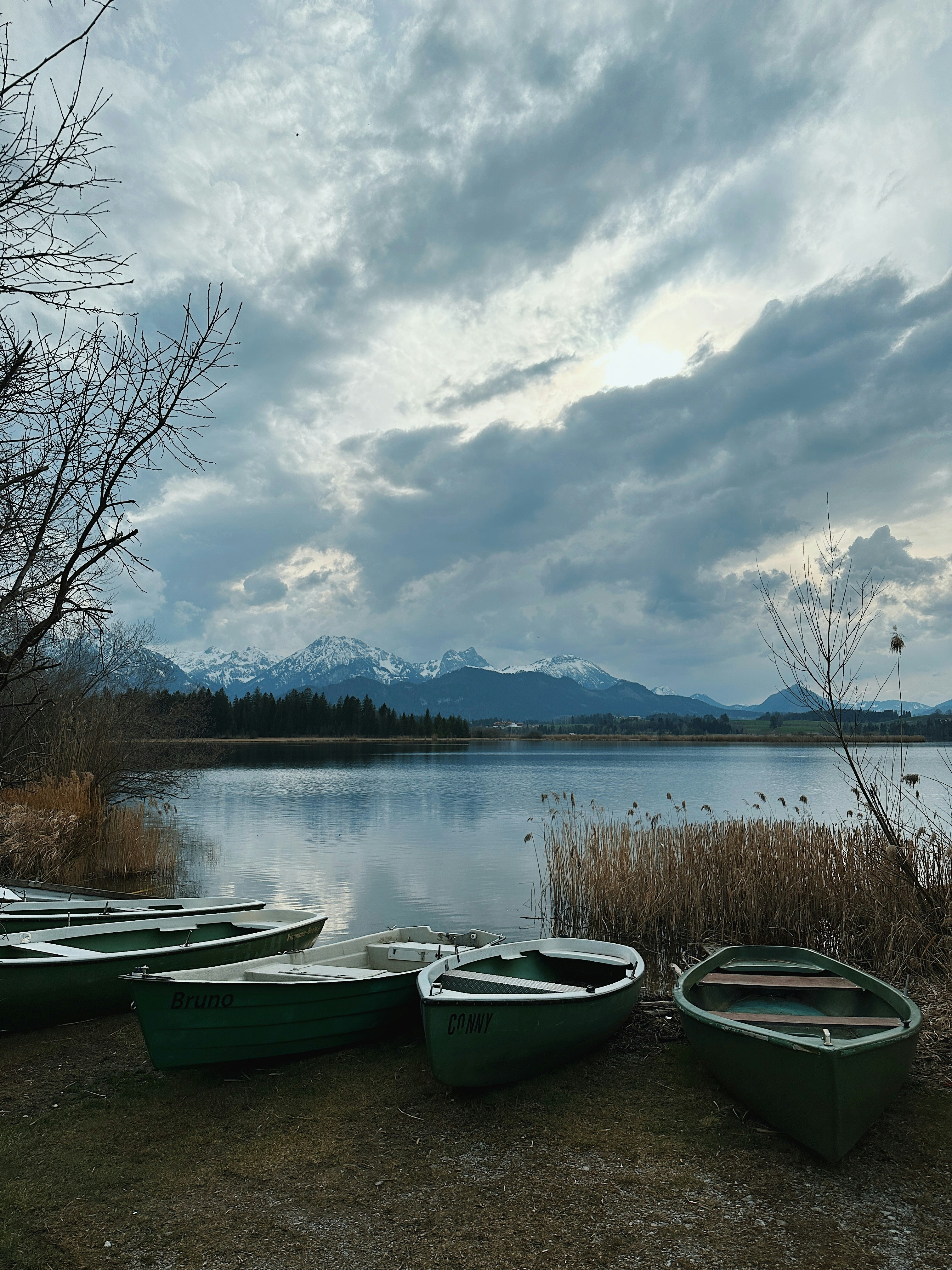 a group of green boats sitting on top of a grass covered field