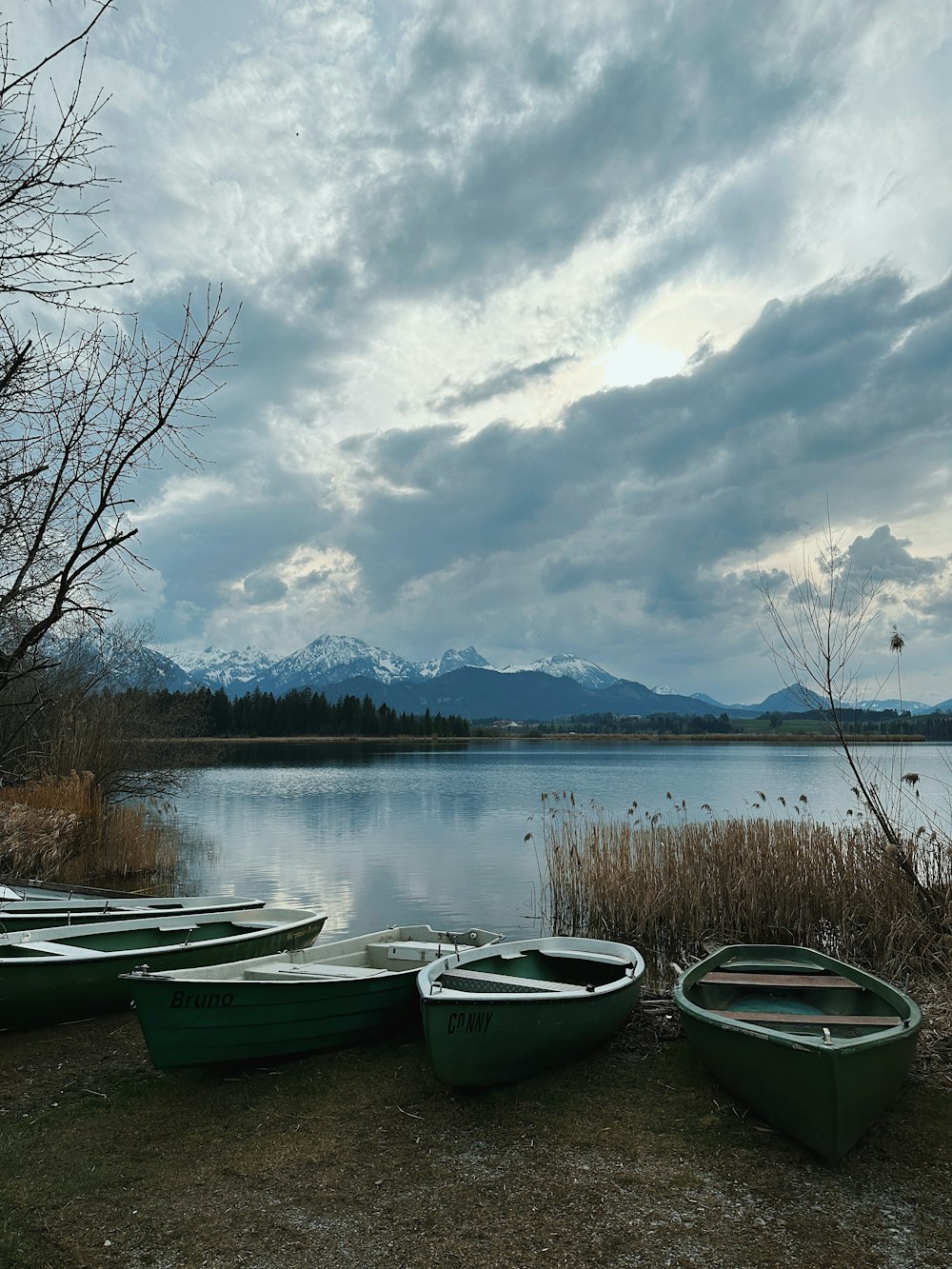 a group of green boats sitting on top of a grass covered field