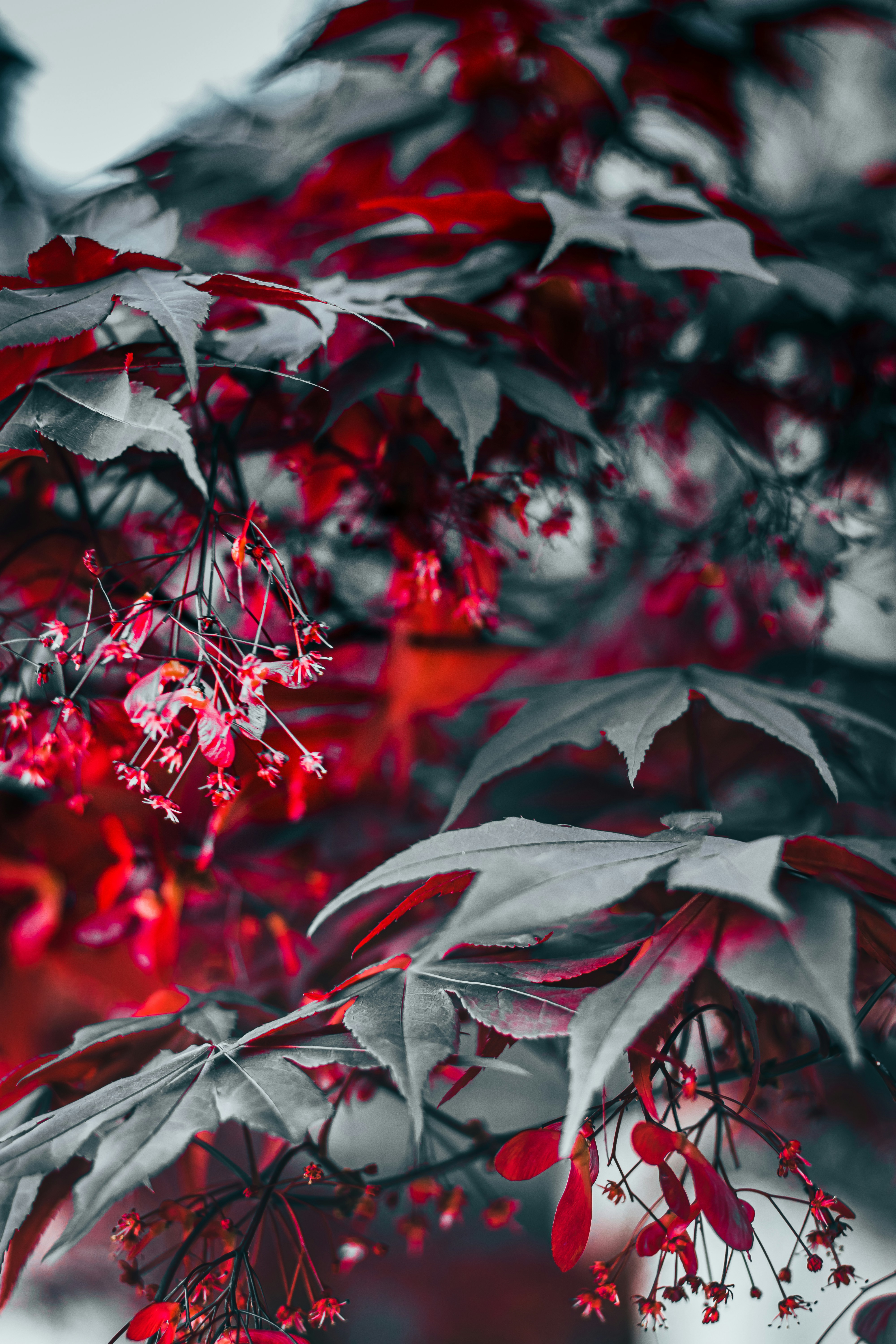 Photo by brice_cooper18