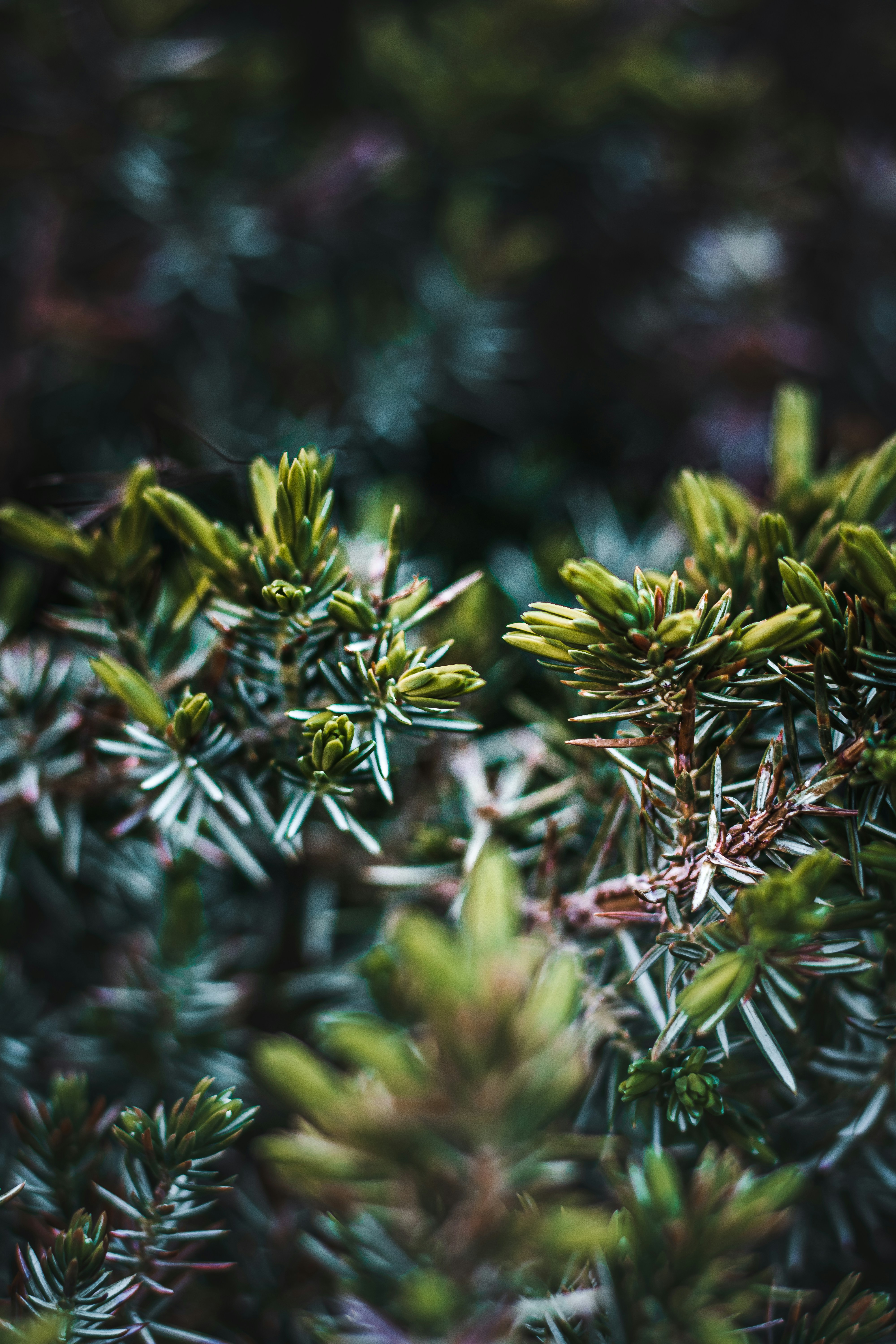 Photo by brice_cooper18