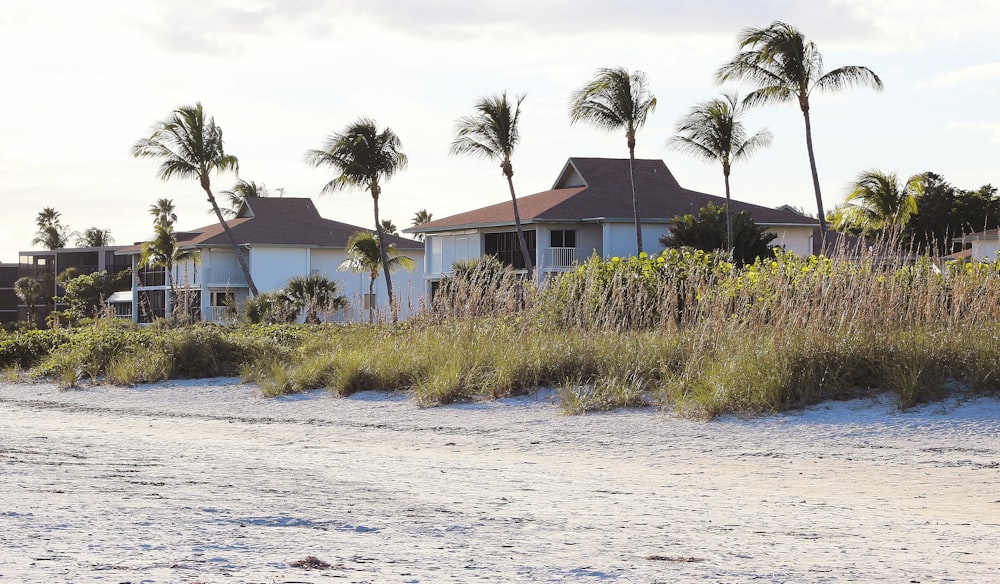 a row of houses sitting on top of a sandy beach