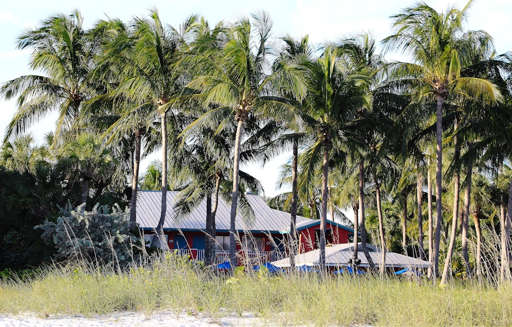 a house surrounded by palm trees on a beach