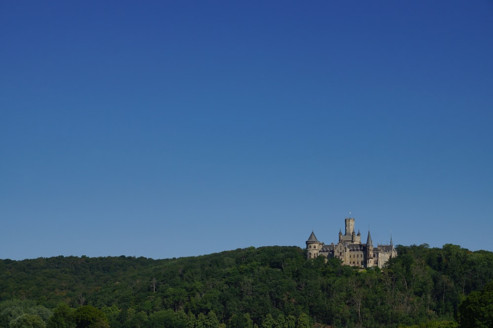 a castle on top of a hill surrounded by trees