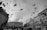 A crowded urban square with numerous birds flying through the overcast sky. Tall historic buildings surround the square, and people are visible on the ground. The scene is captured in black and white, emphasizing the contrast between the dark birds and the lighter sky.