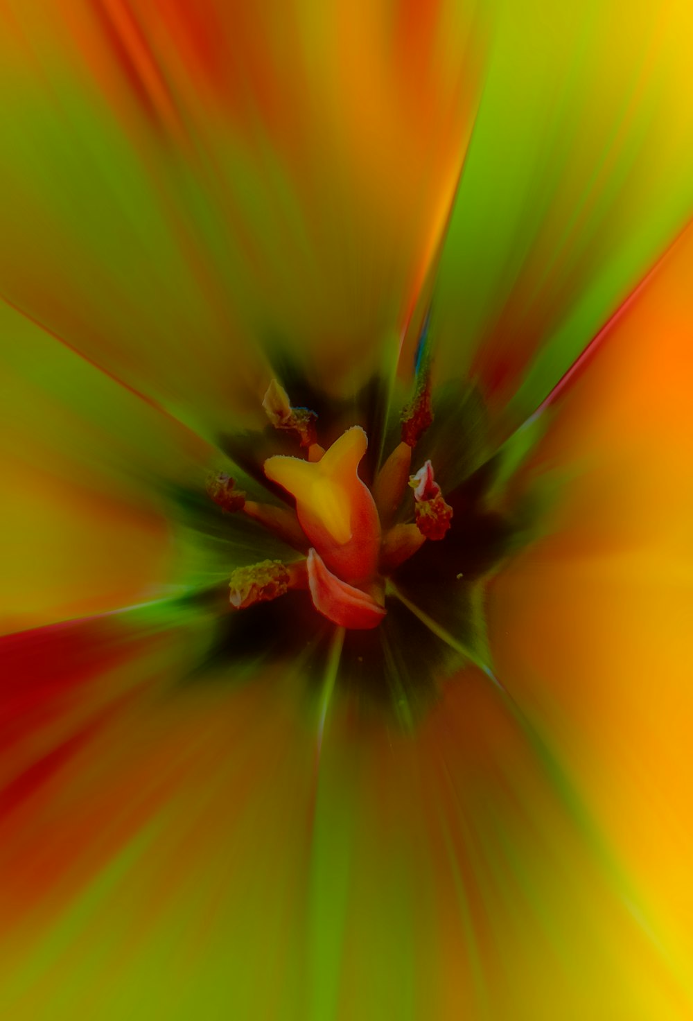 a close up view of a red and yellow flower