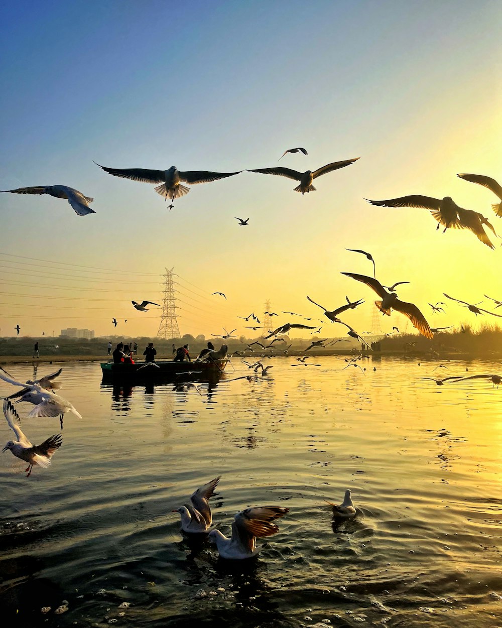 a flock of birds flying over a body of water