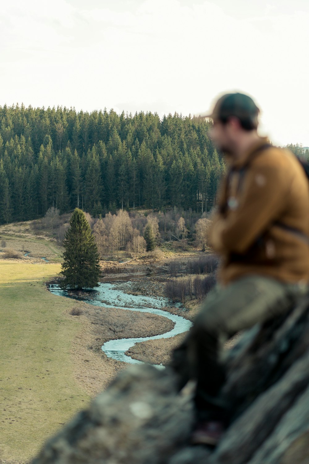 a man sitting on top of a rock next to a forest