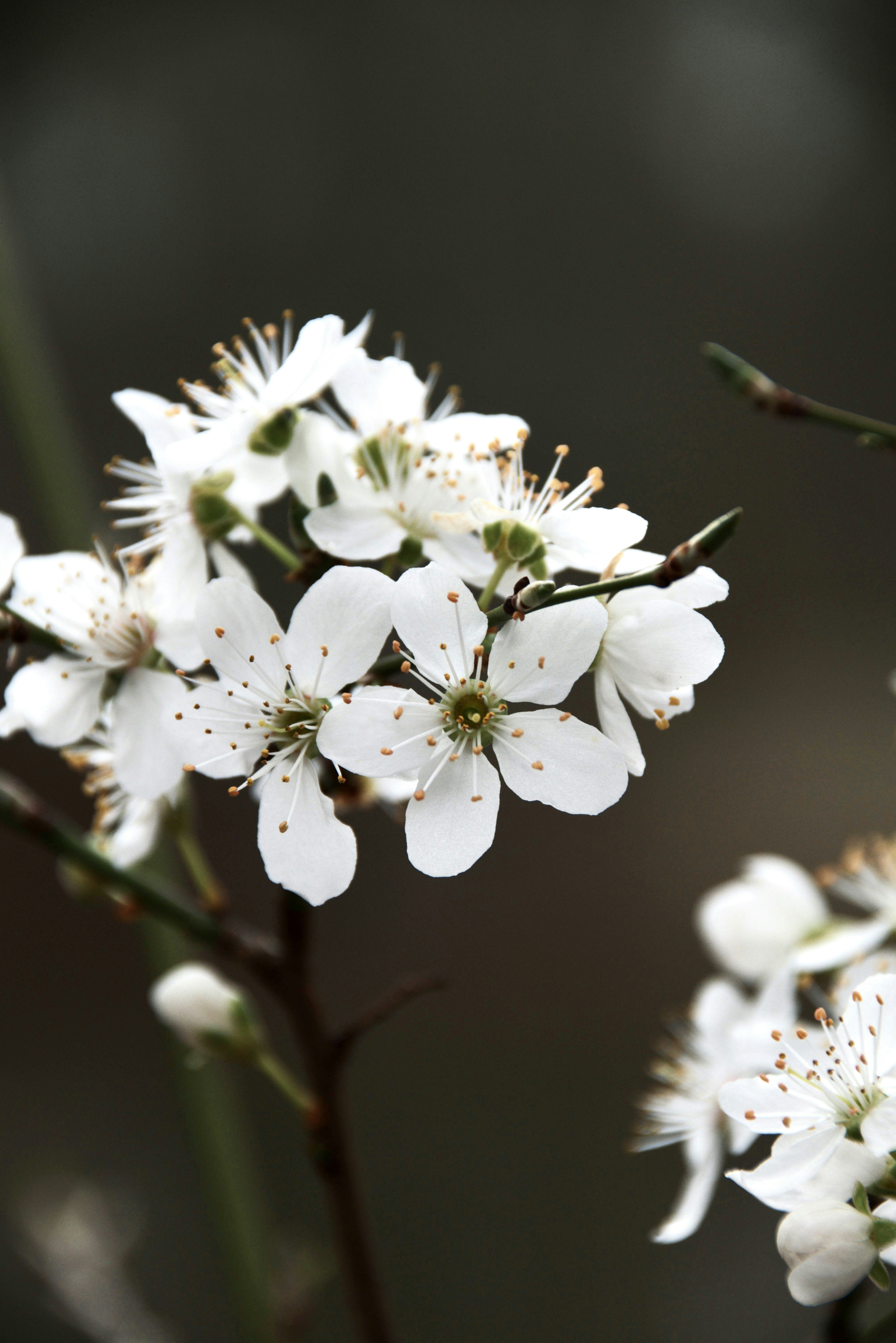 Photo by jessica_kmr