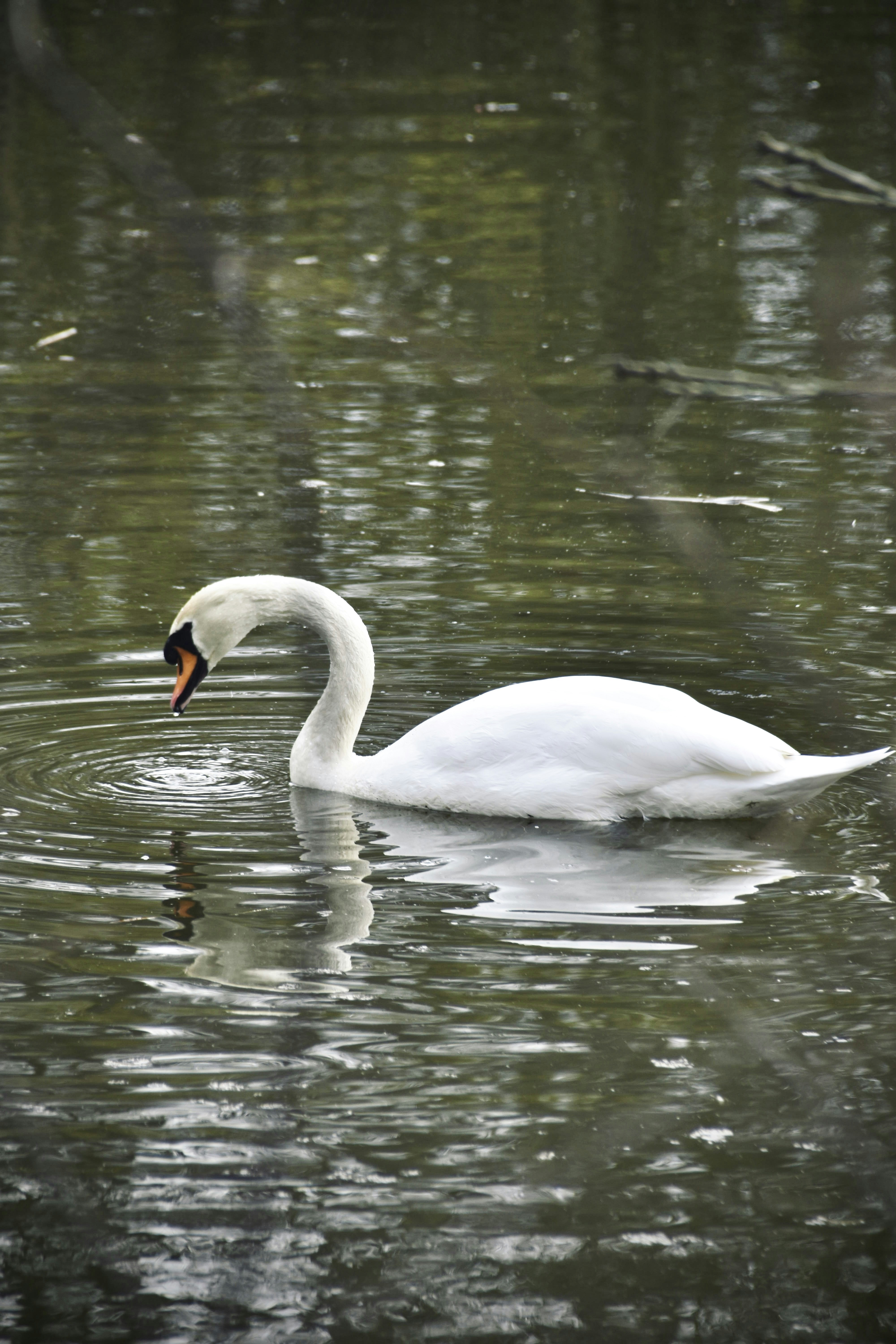 Photo by jessica_kmr