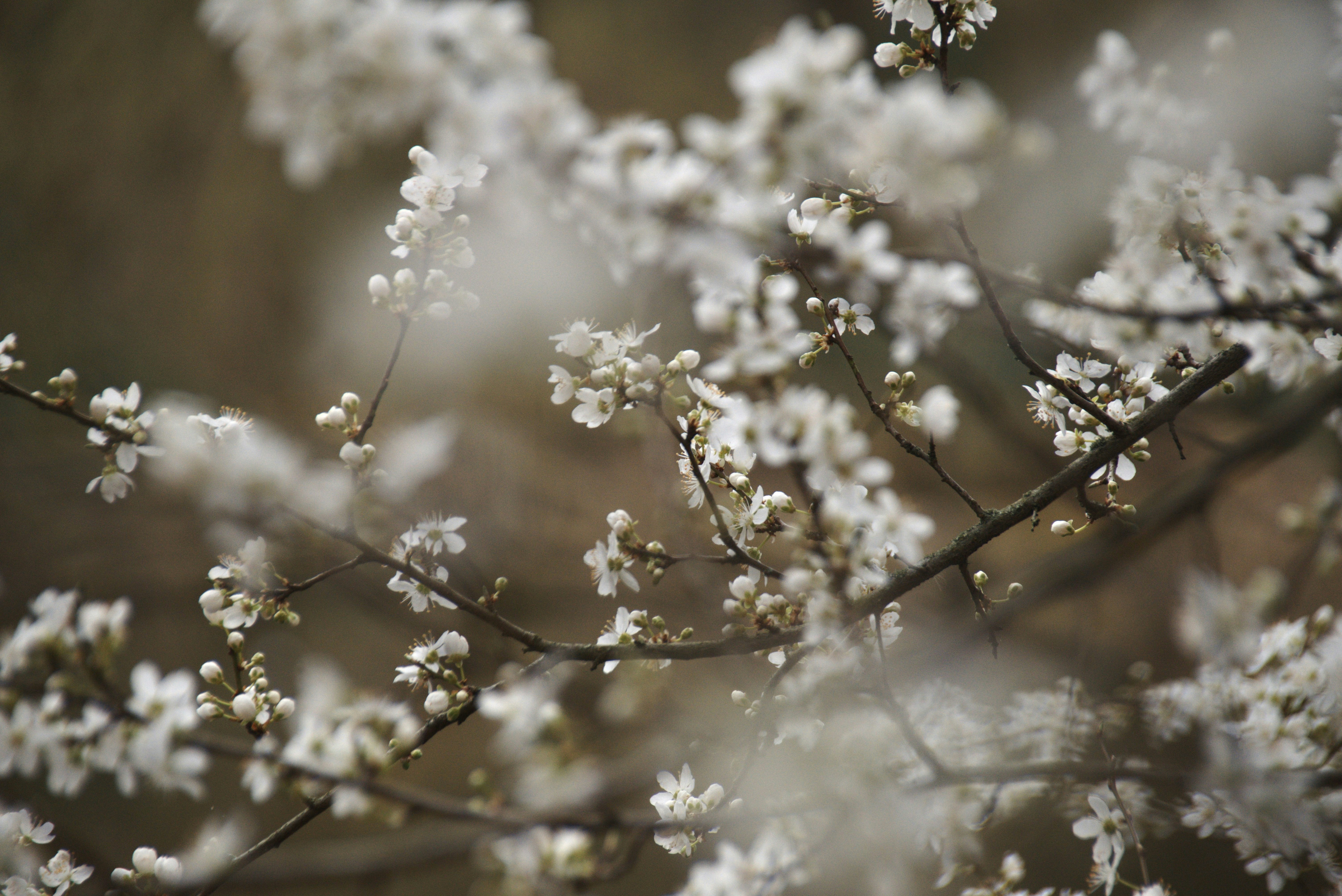 Photo by jessica_kmr