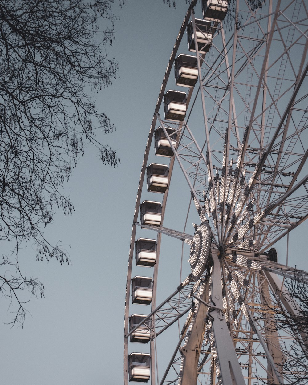 a large ferris wheel sitting next to a tree