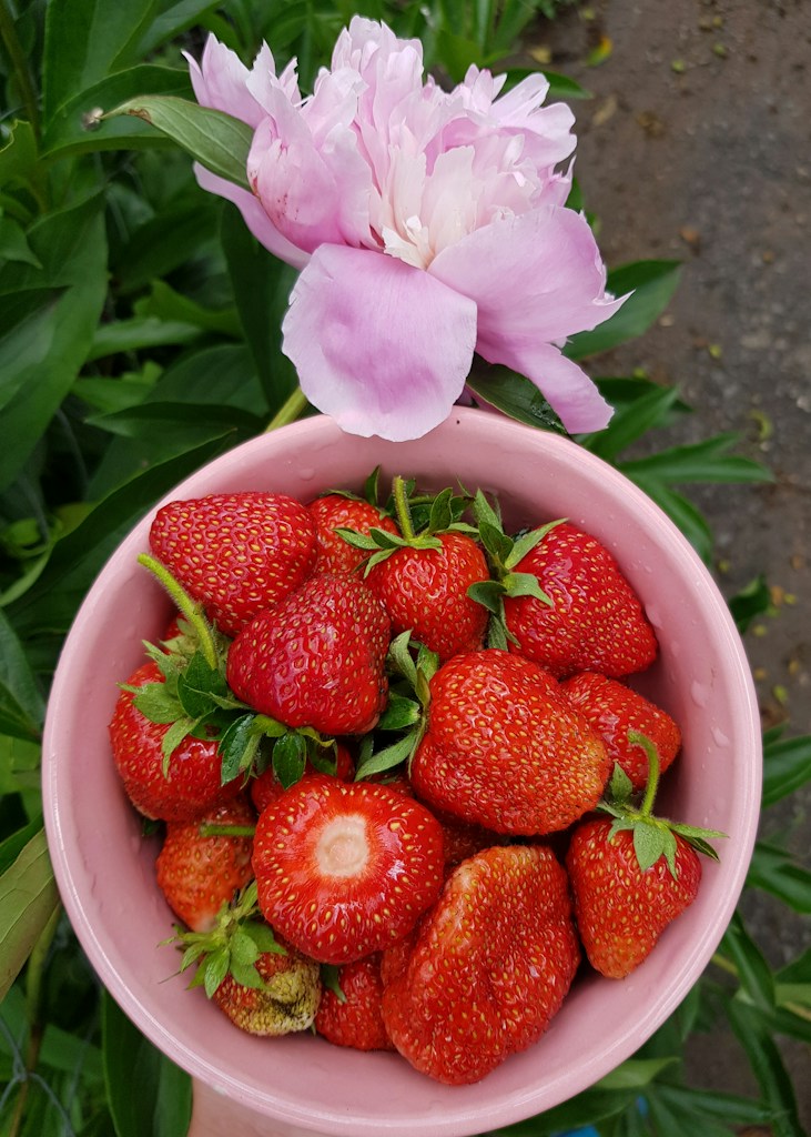 Sweet Strawberry Ice Cream