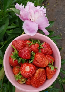 Sweet Strawberry Ice Cream