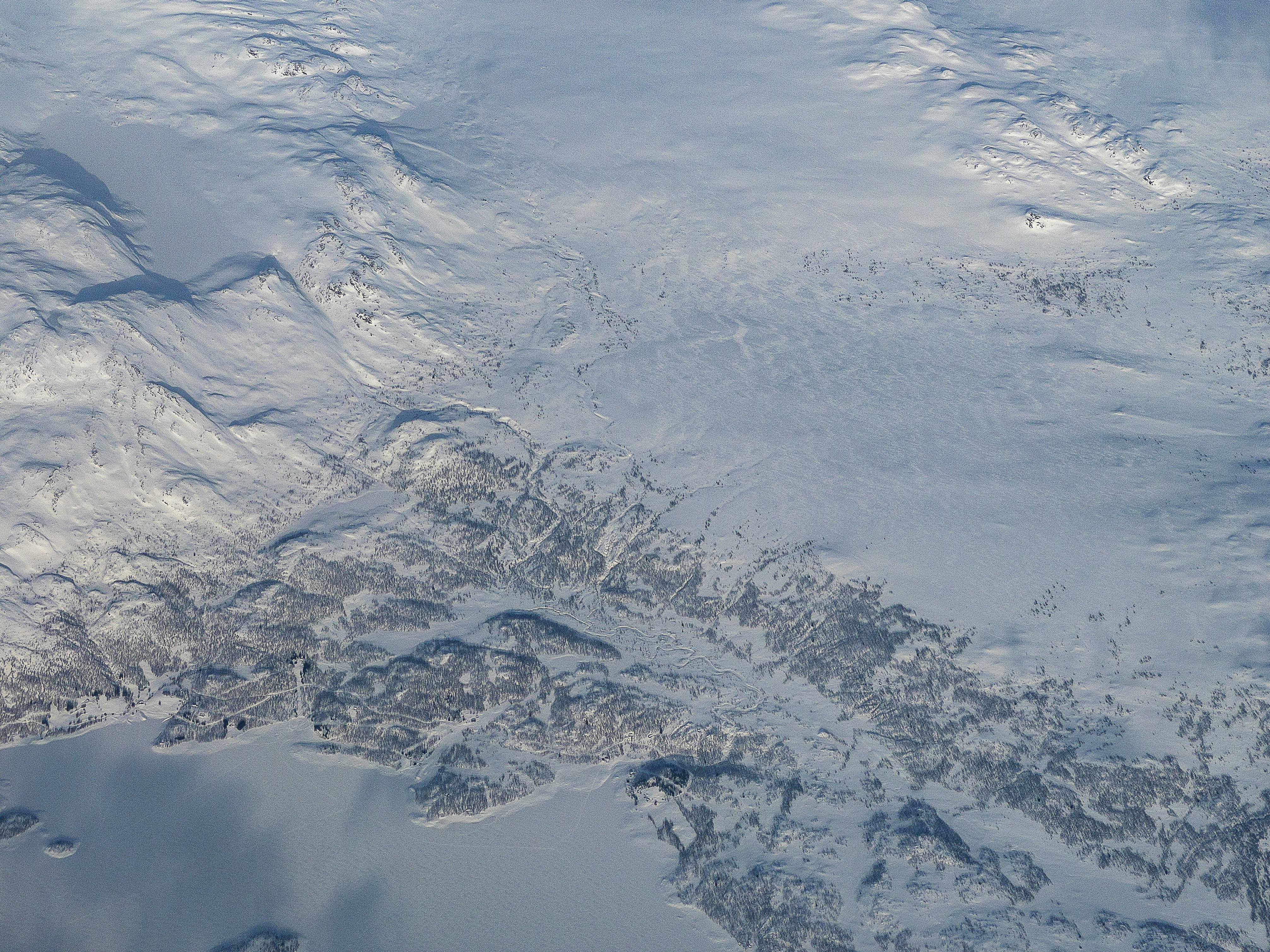 Photo by gunnarridder