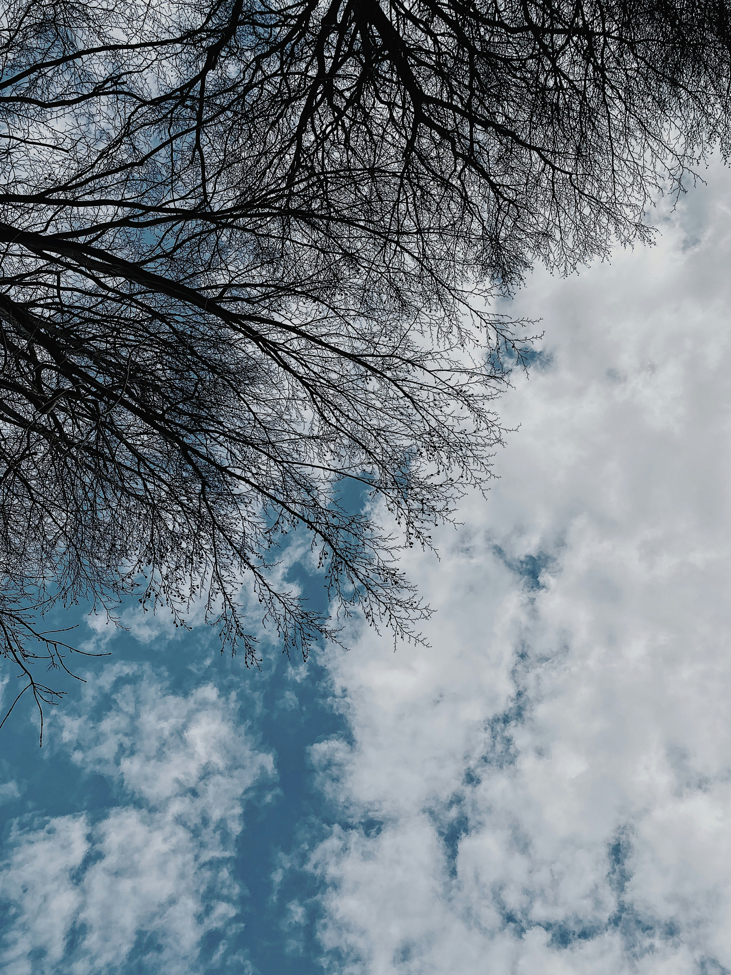 Photo by e_christensen