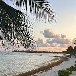 A serene sunrise over a calm tropical beach with gentle waves and palm trees swaying.