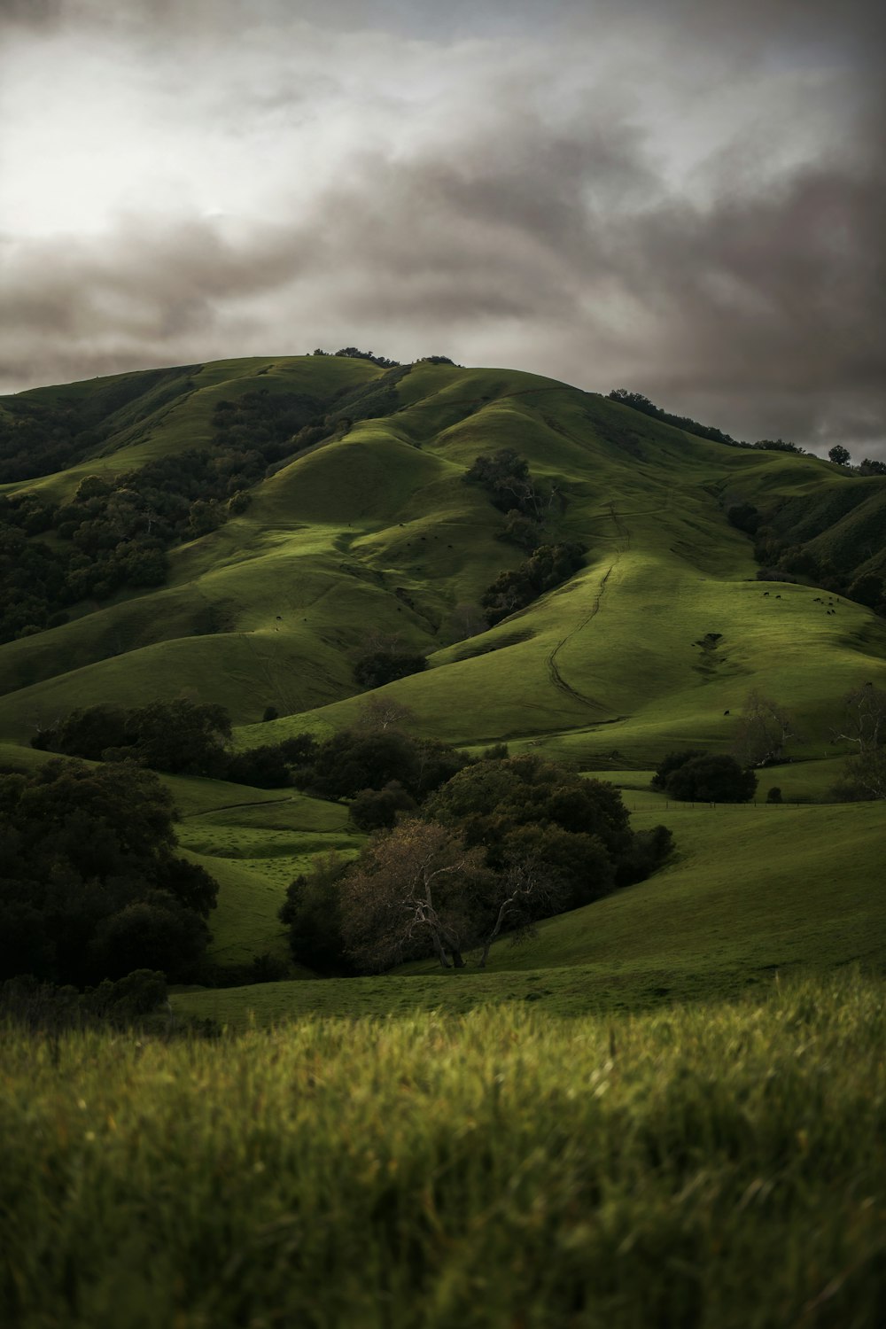 a lush green hillside under a cloudy sky