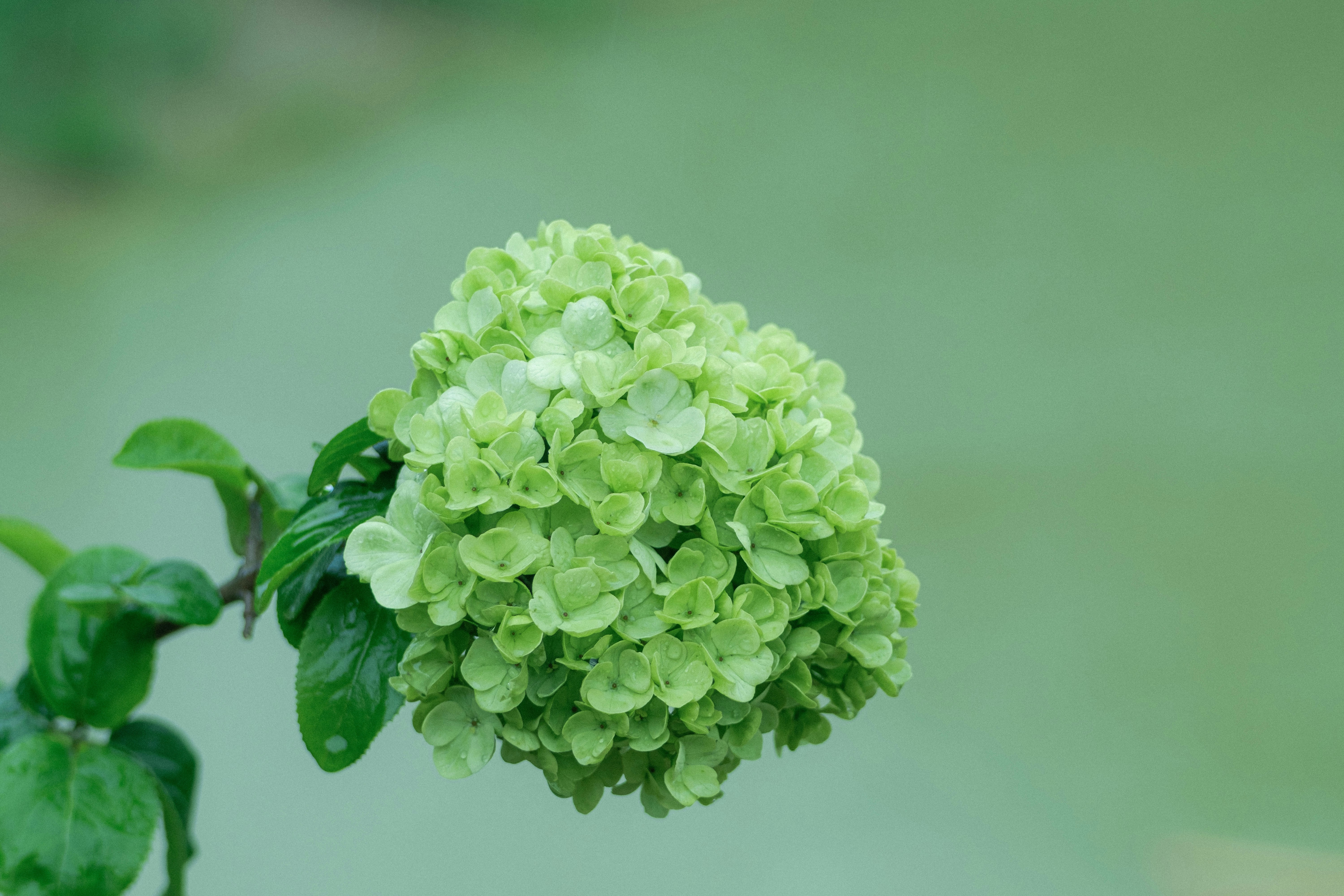 Photo by xiexianghua