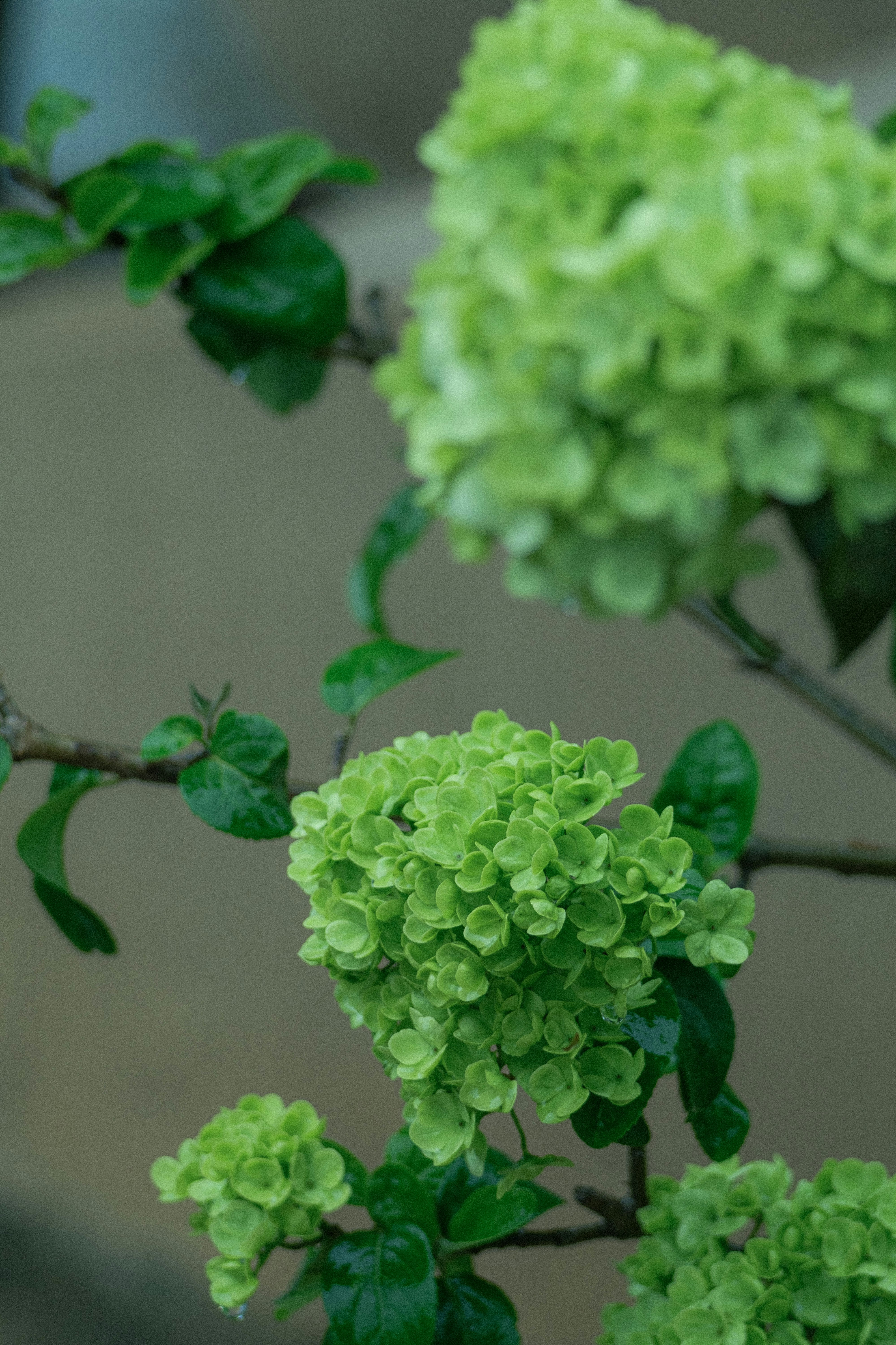 Photo by xiexianghua