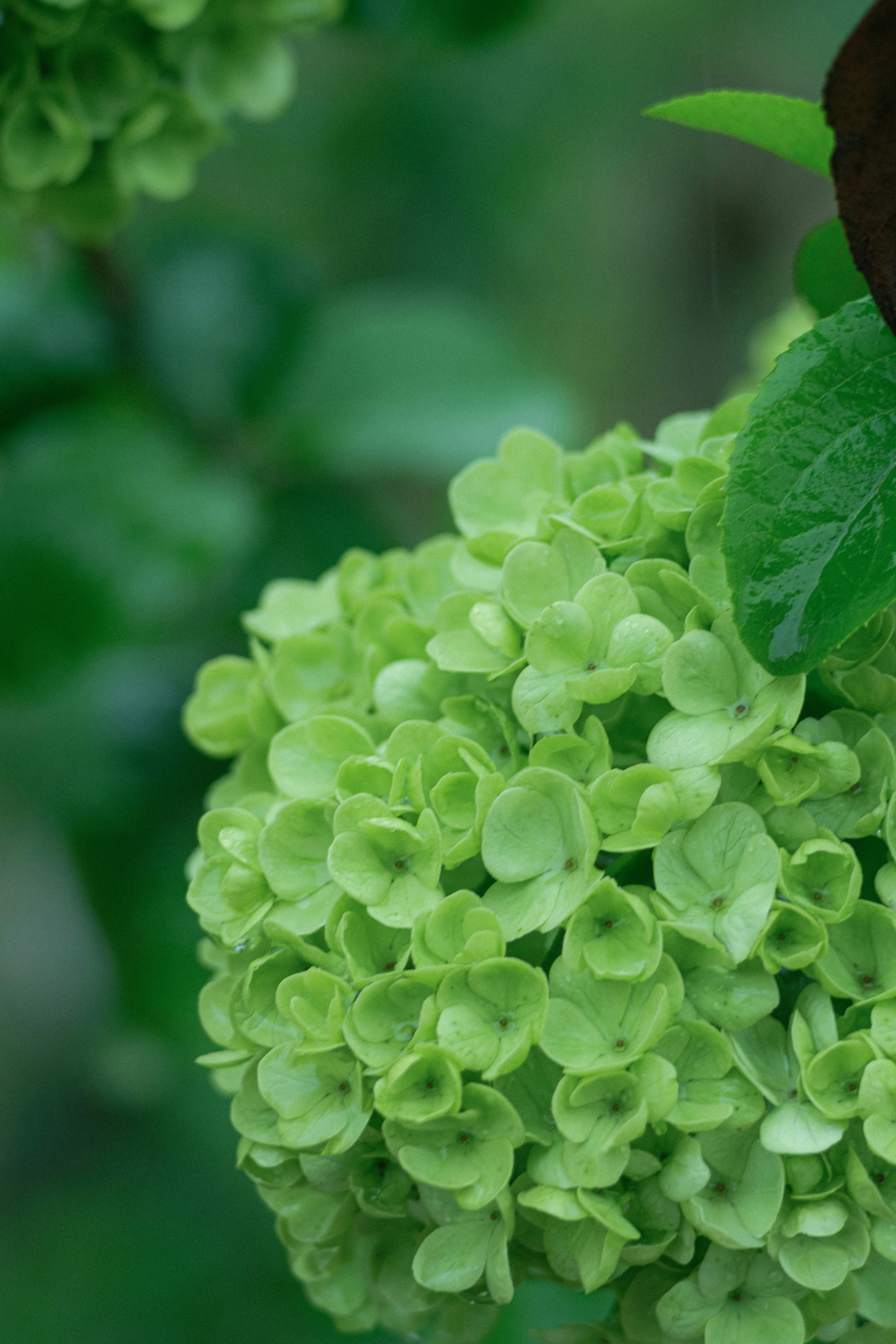 Photo by xiexianghua