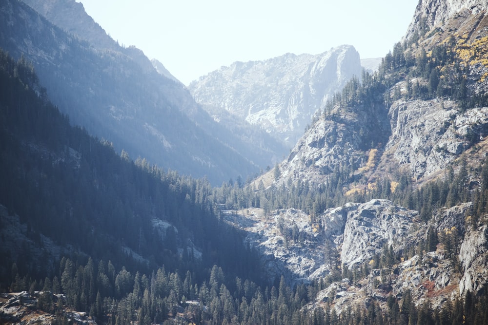 a view of a mountain range with trees in the foreground