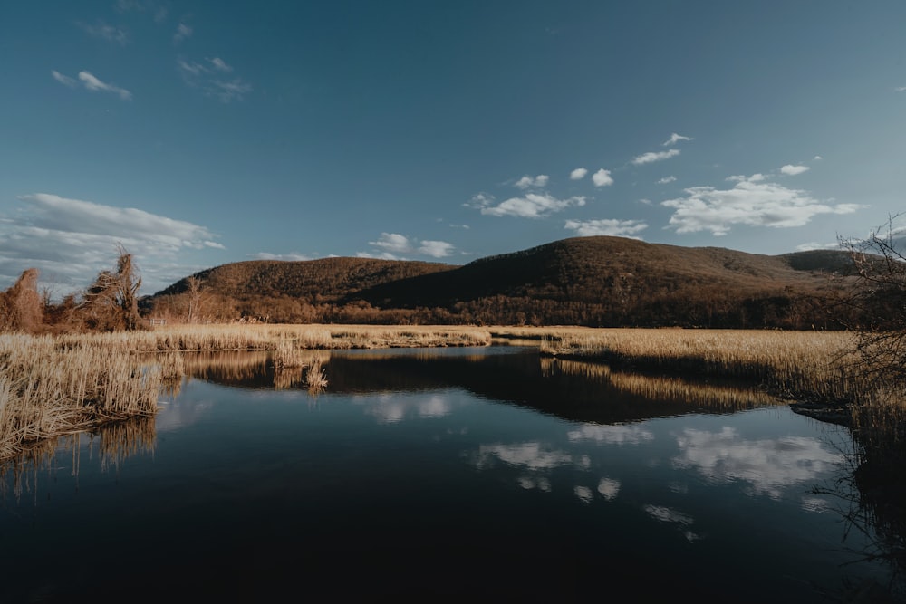 a body of water surrounded by a lush green hillside