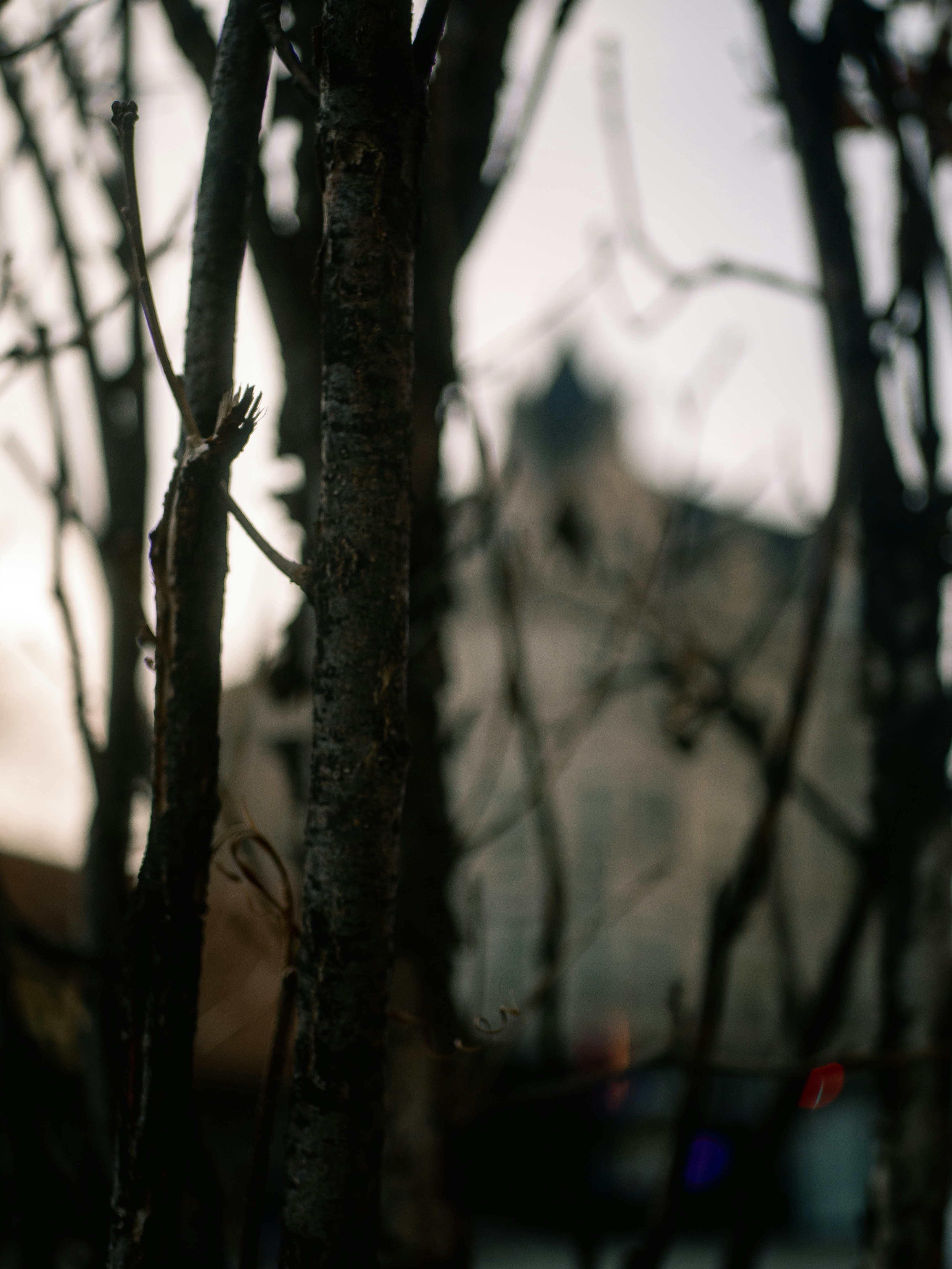 Photo by jadonjohnson