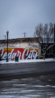A street scene featuring a colorful mural on a building wall that reads 'Cedar City' in large, vibrant letters. Snow covers the ground and the branches of nearby trees. The sky is overcast, creating a muted, wintery atmosphere. A streetlamp stands nearby, and a few utility poles are visible.