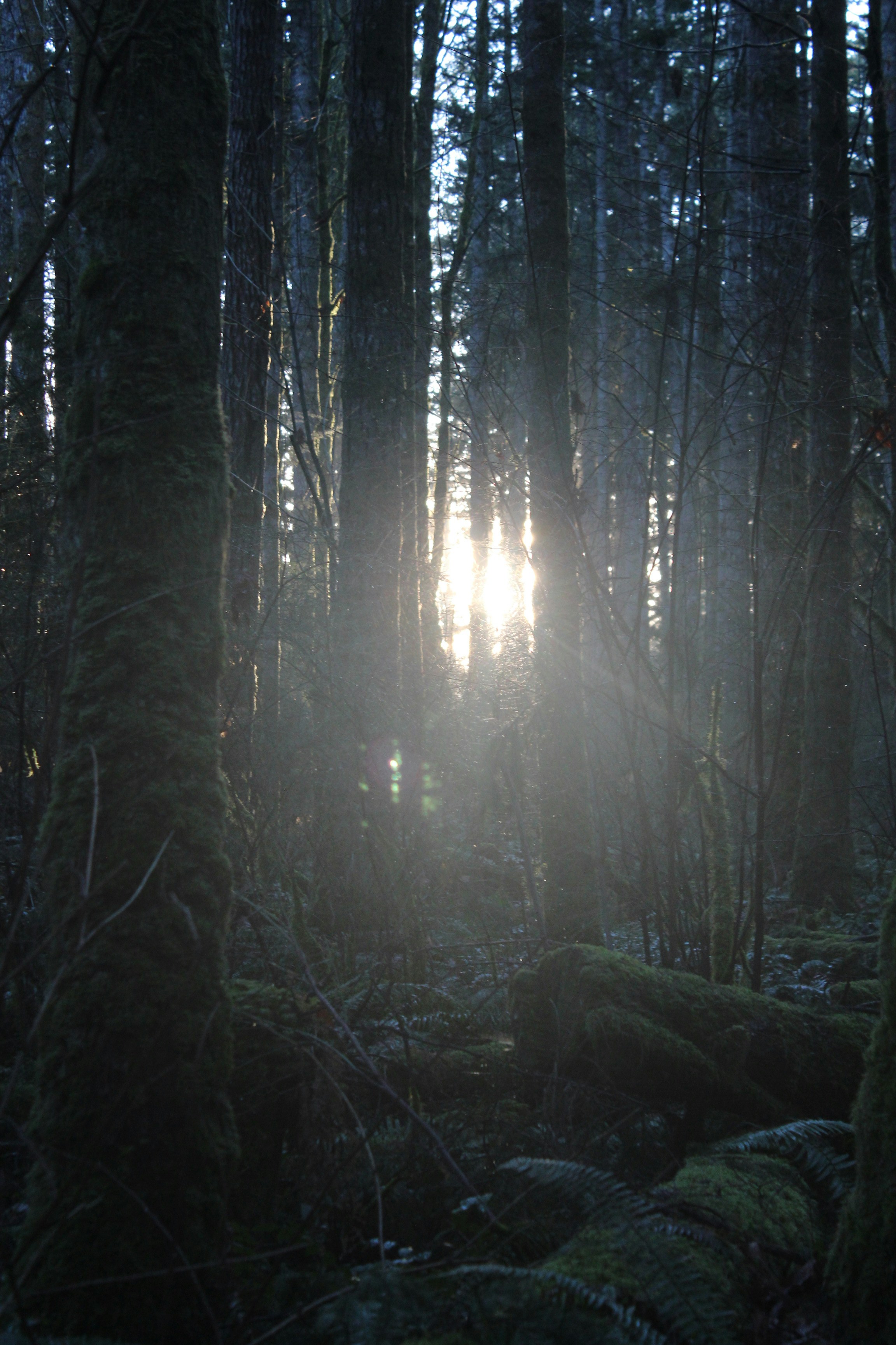 Photo by framesofritu