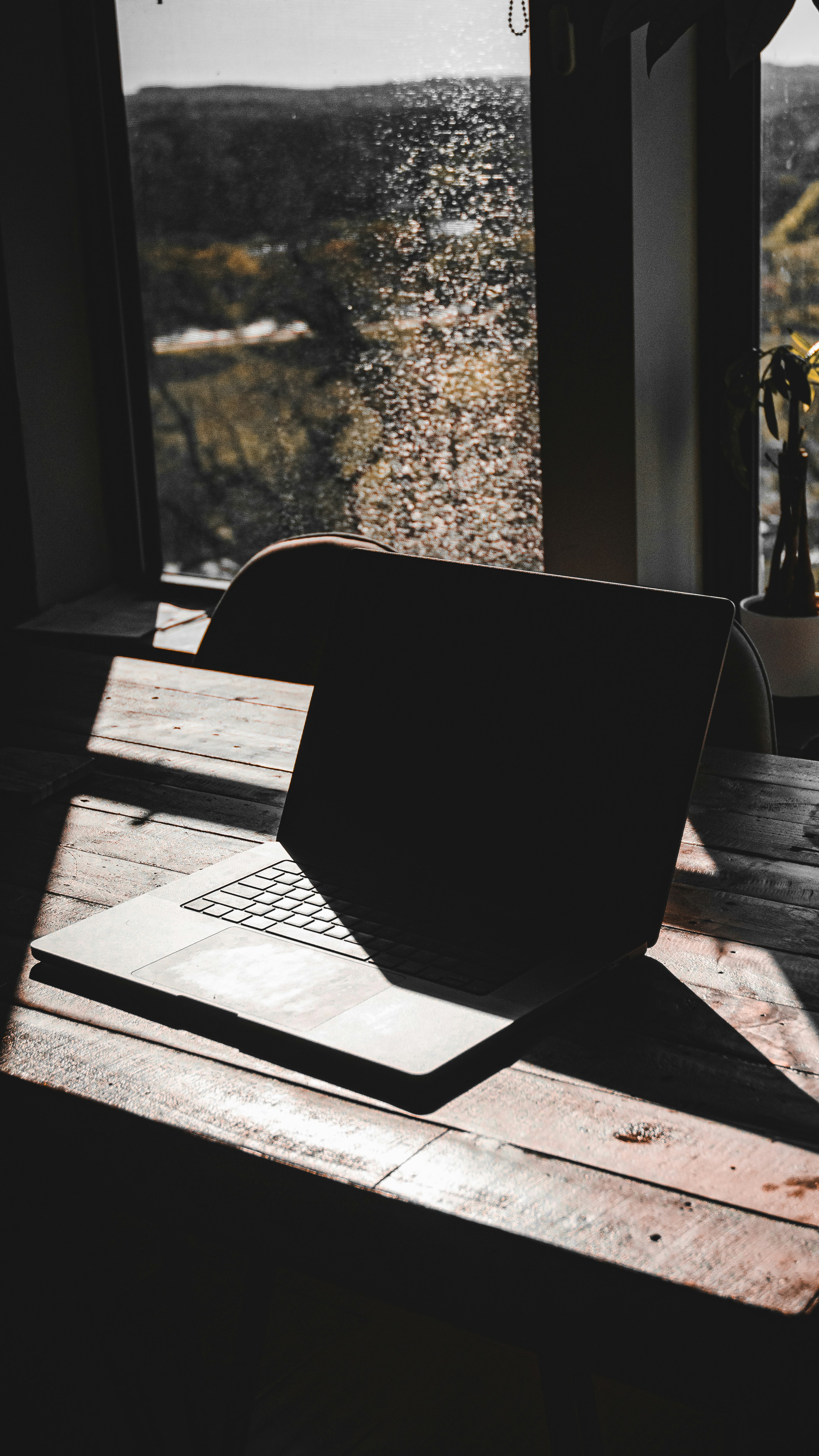 Photo by tanyavisual