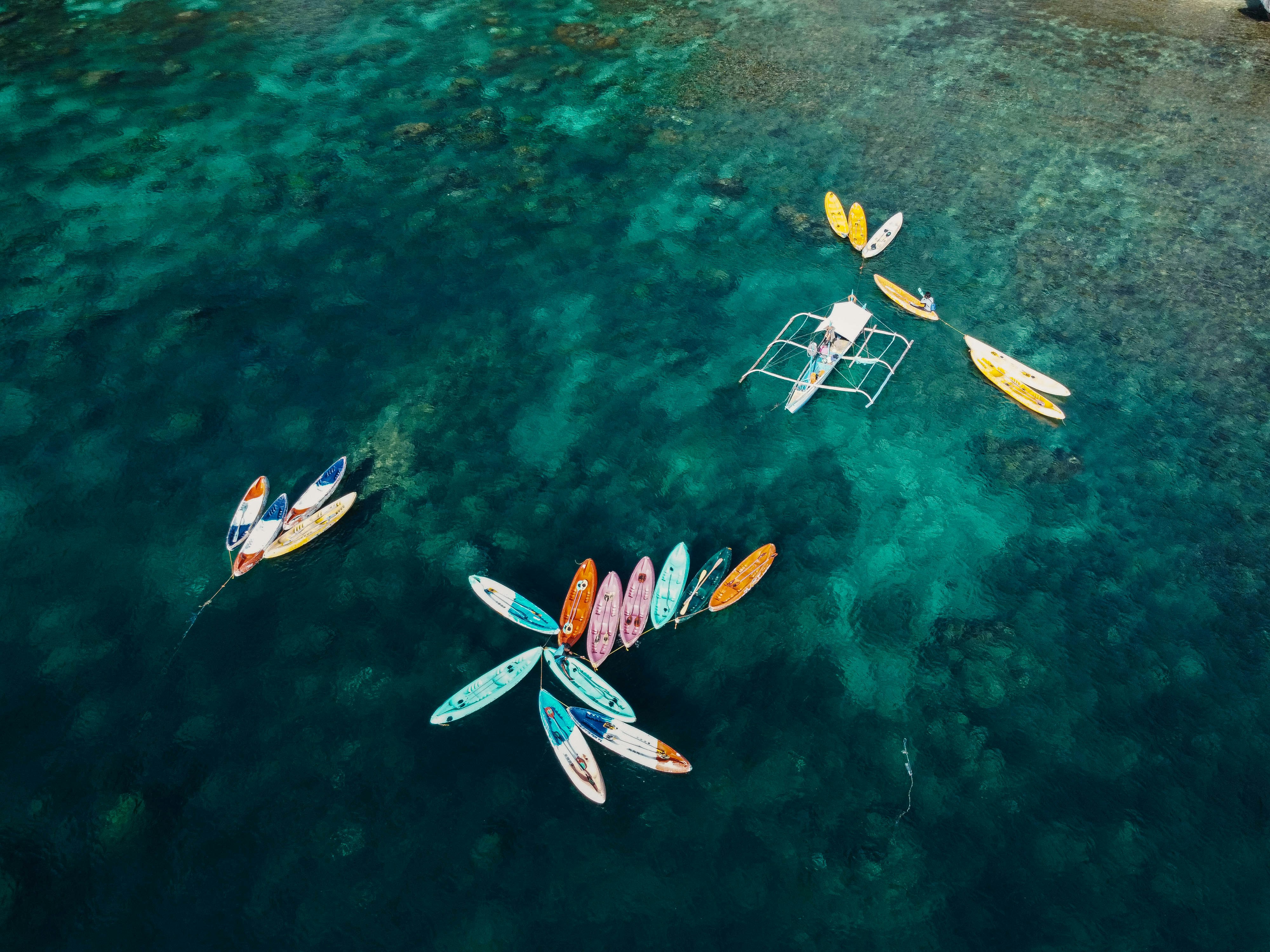 a group of people riding paddle boards on top of a body of water