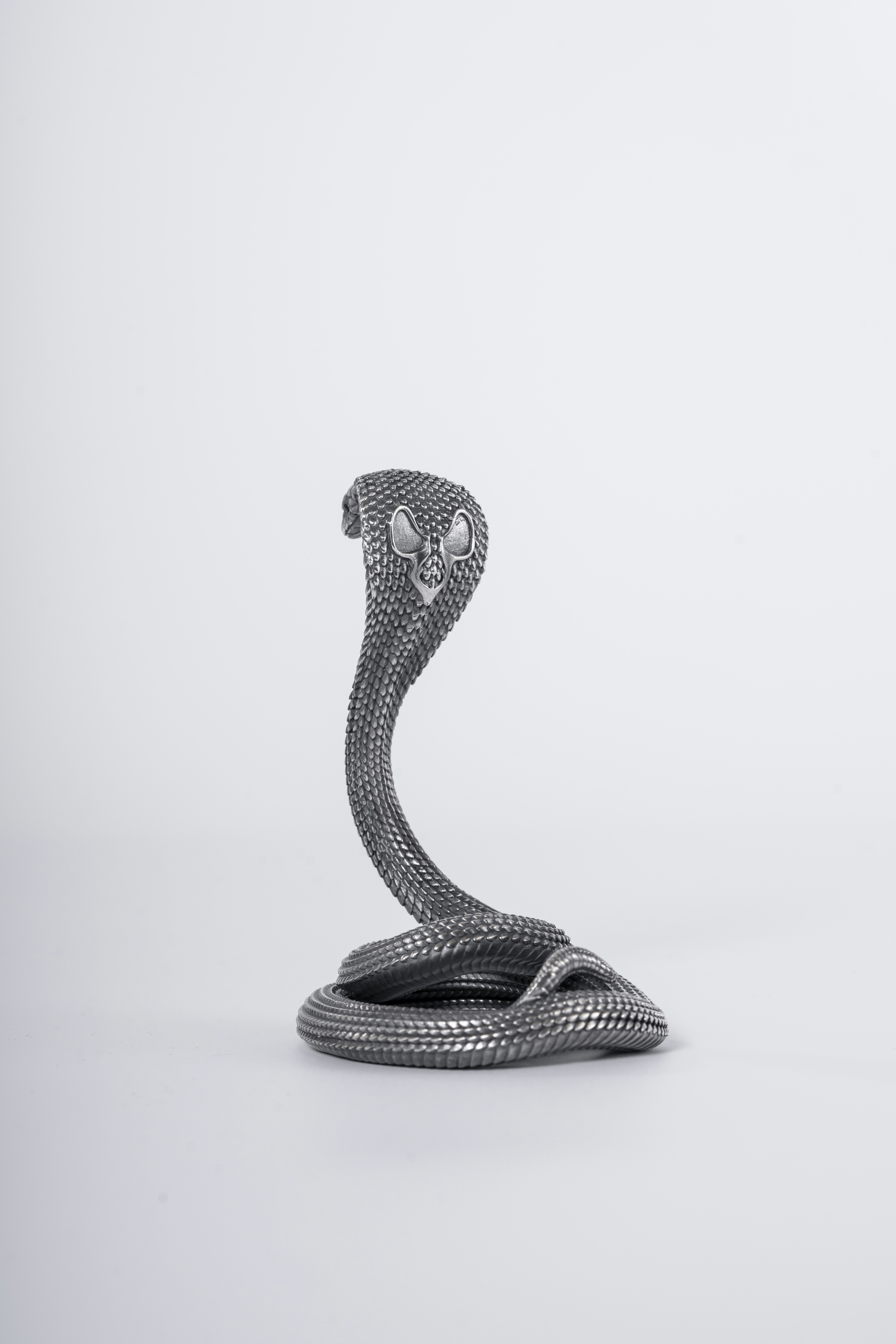 Photo by coppertistwu