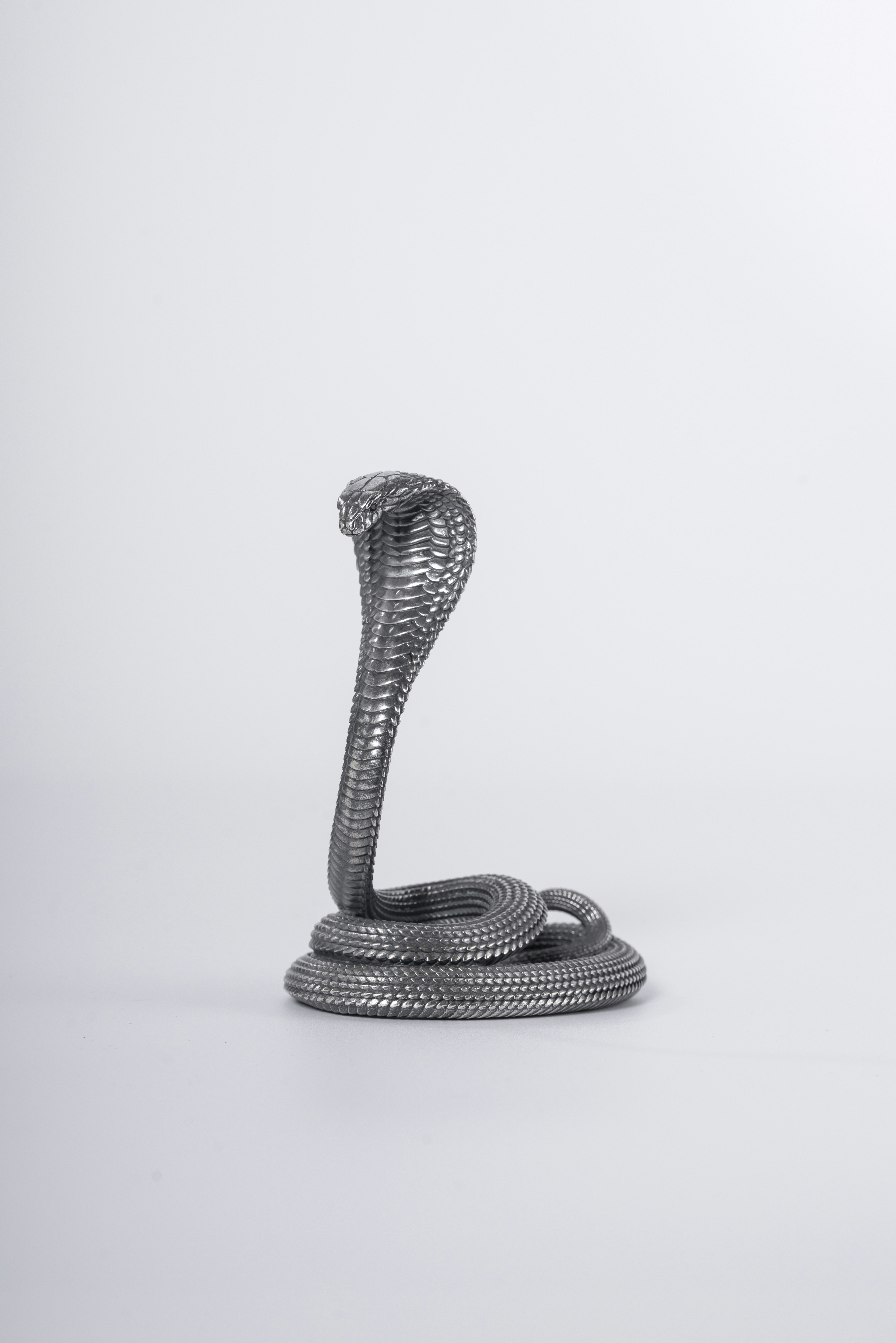 Photo by coppertistwu