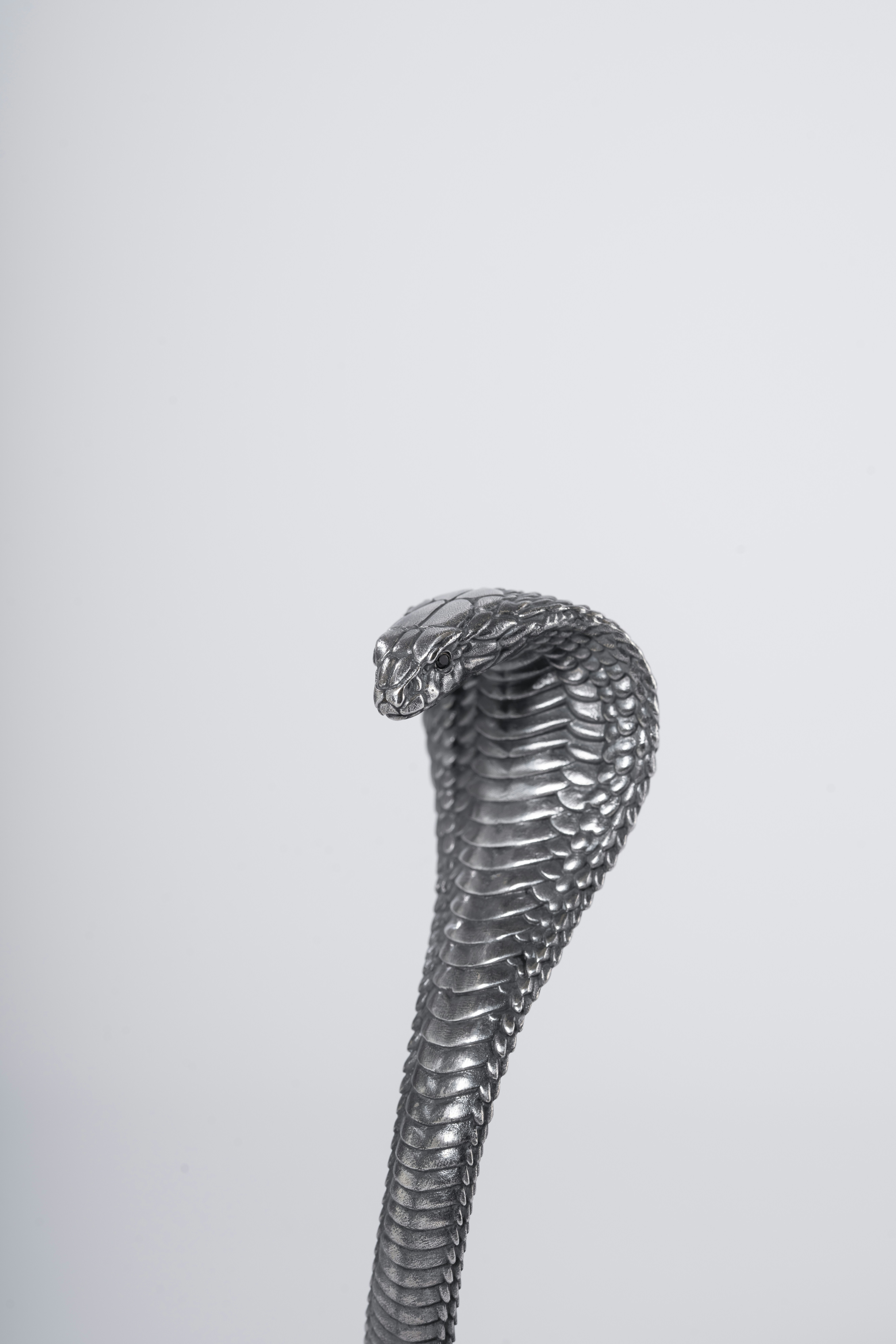 Photo by coppertistwu