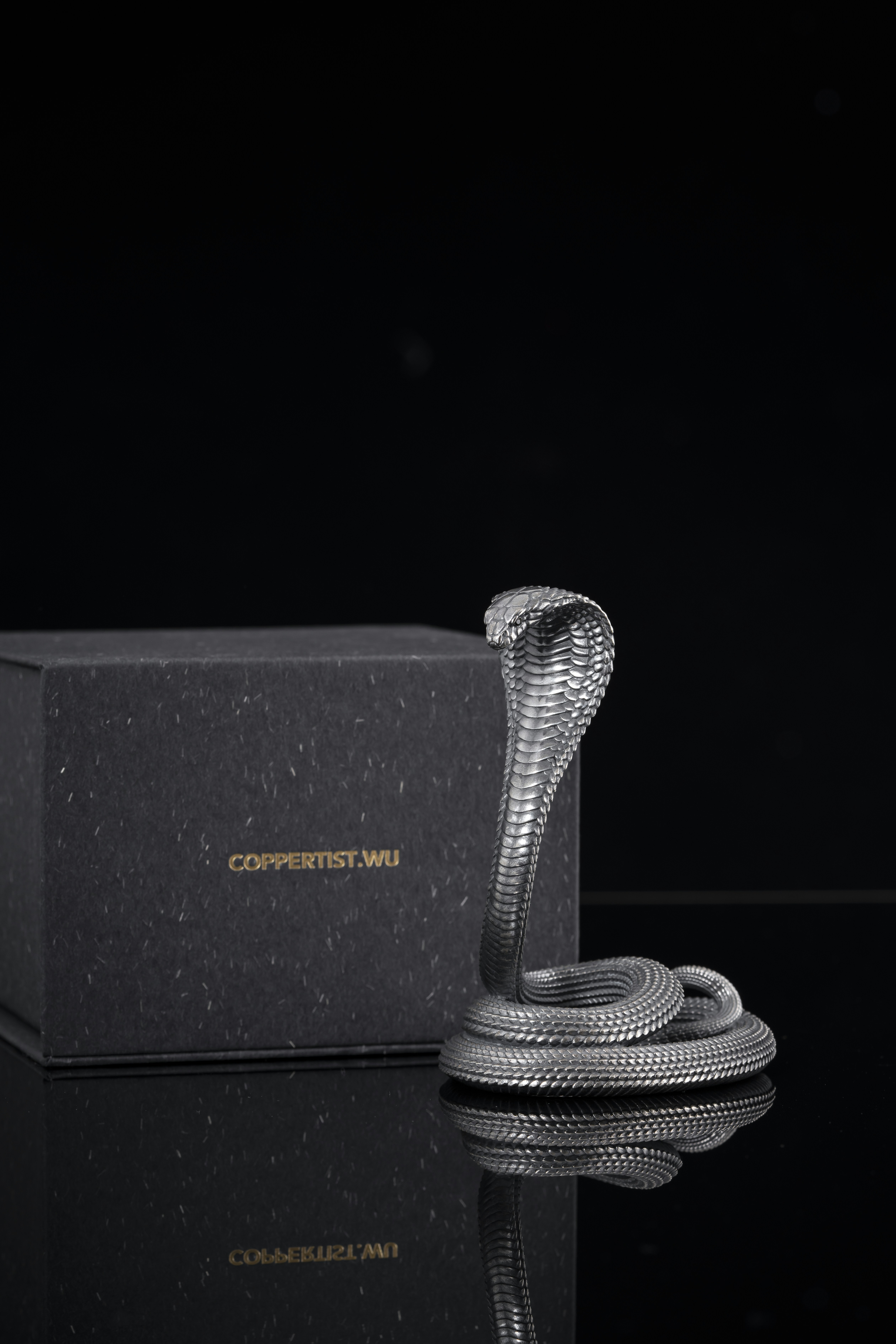 Photo by coppertistwu