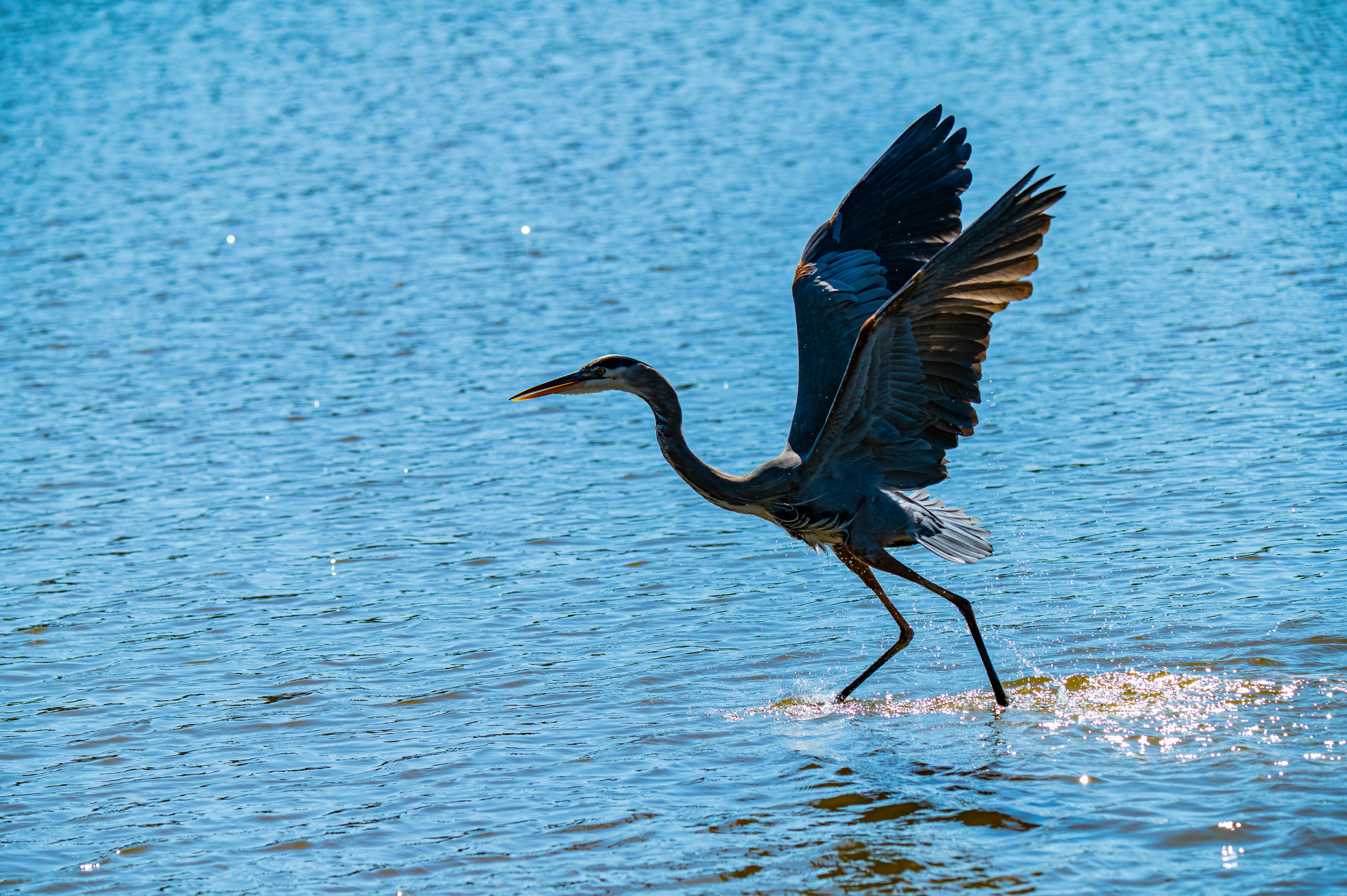 Photo by afewgoodpixels