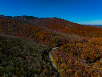 A scenic road winding through colorful autumn forests, perfect for a road trip.