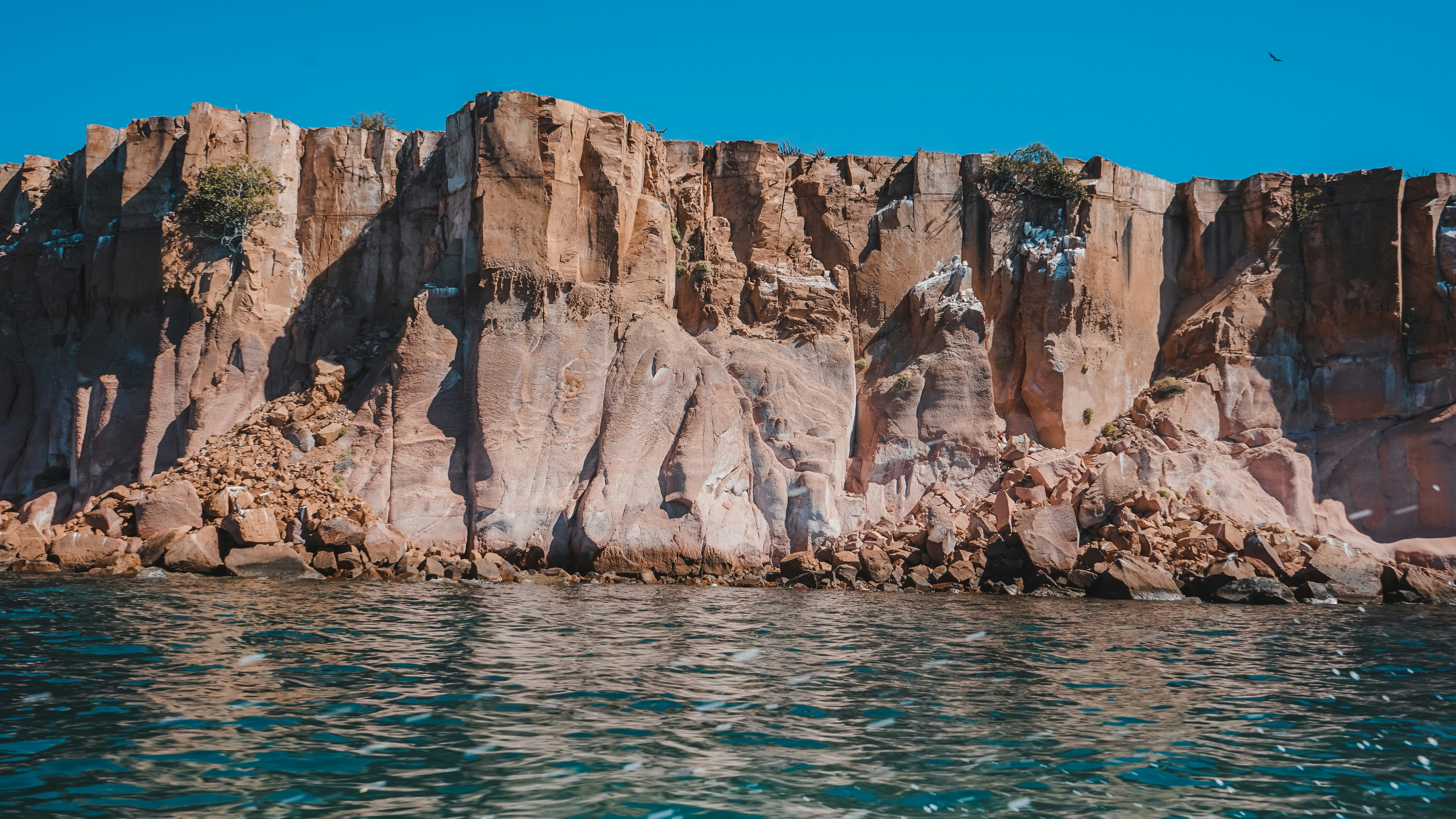 Photo by josedibattista