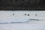 A group of veterans kayaking together on calm harbor waters at sunrise.