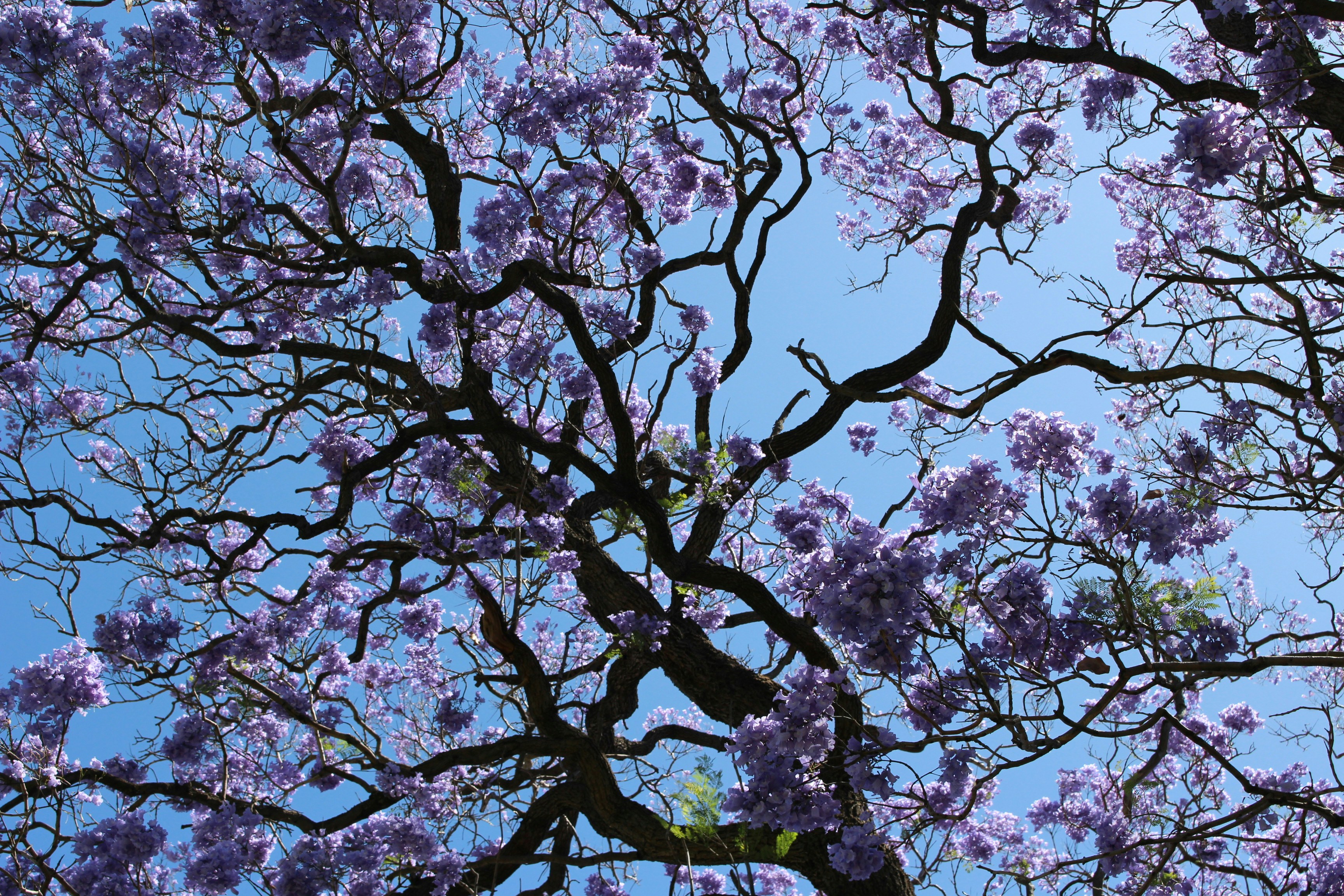 Photo by hannahsmith613770