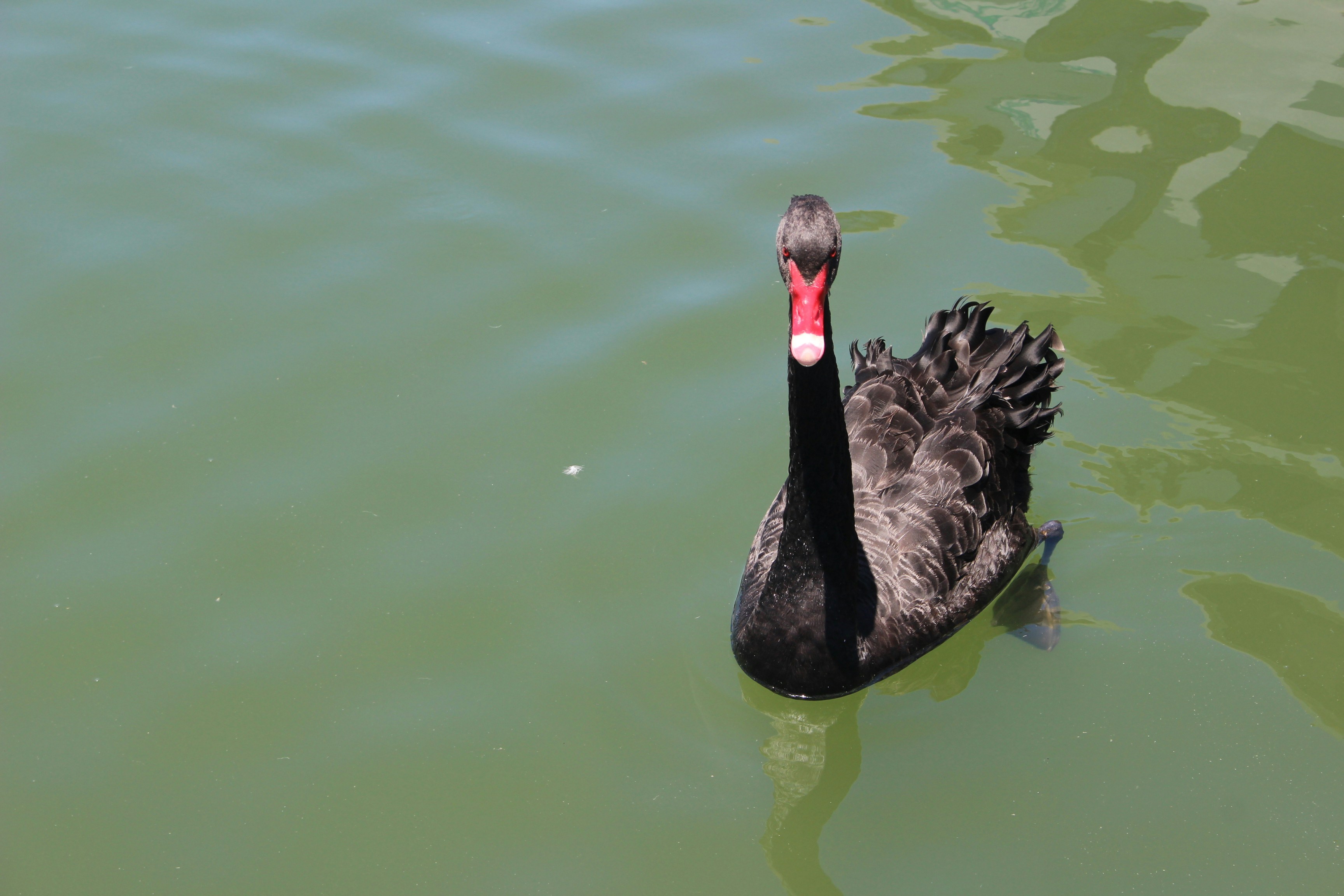 Photo by hannahsmith613770