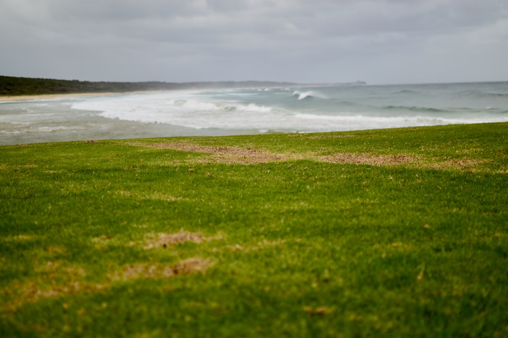 a grassy field next to a body of water